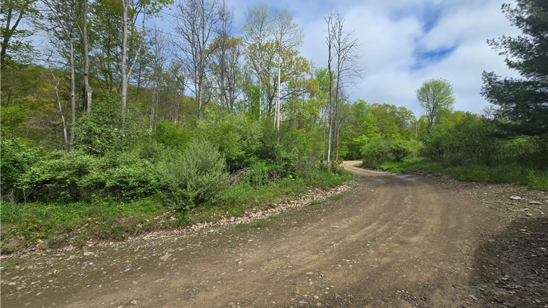 Property at 0 Ruttin Rd Road, Scio, NY 14880 9