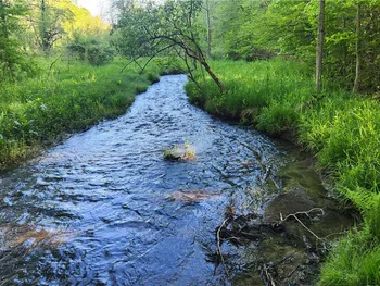 Property at 0 Tabors Corners Road, Springwater, NY 14560