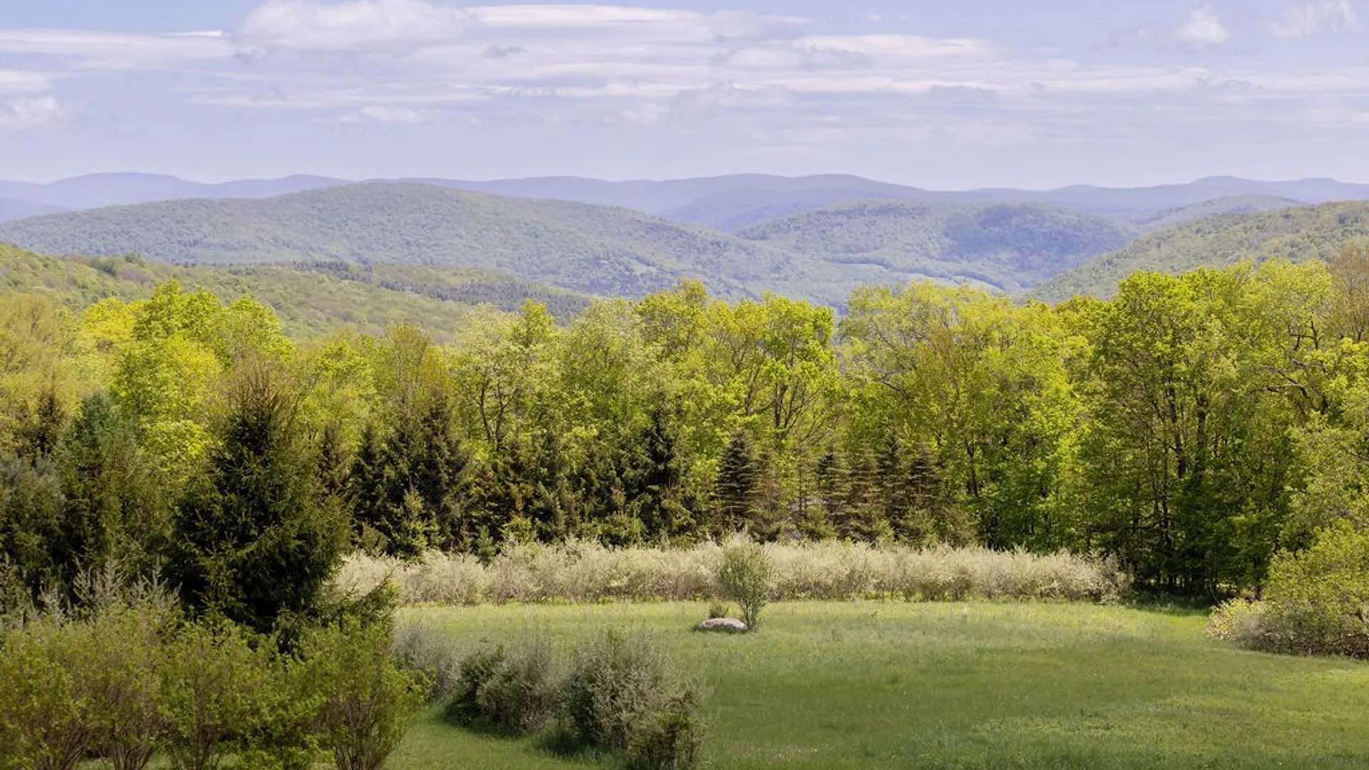 Property at 0 Undisclosed Address, Andes, NY 13731 12