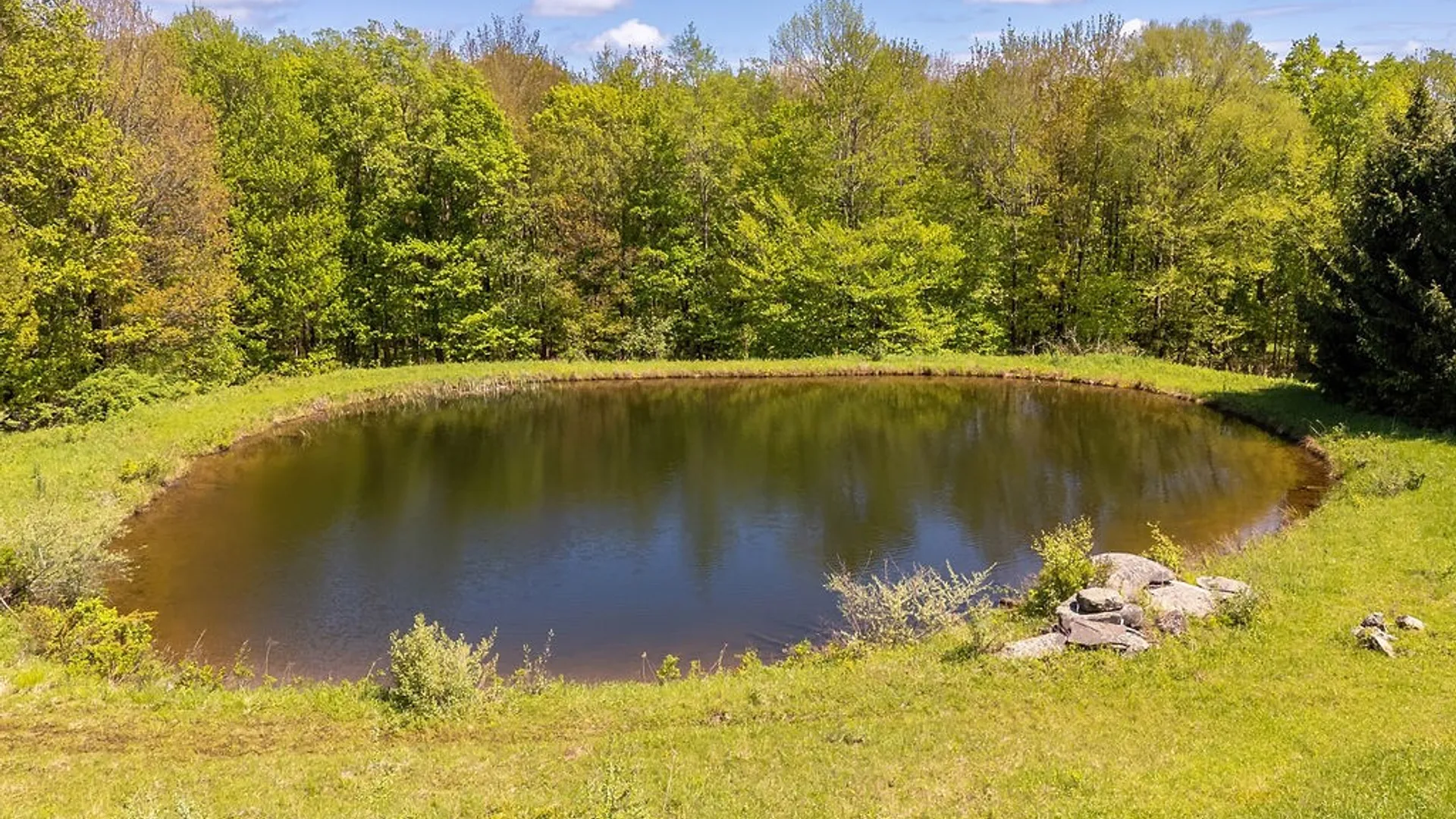 Property at 0 Undisclosed Address, Andes, NY 13731 14