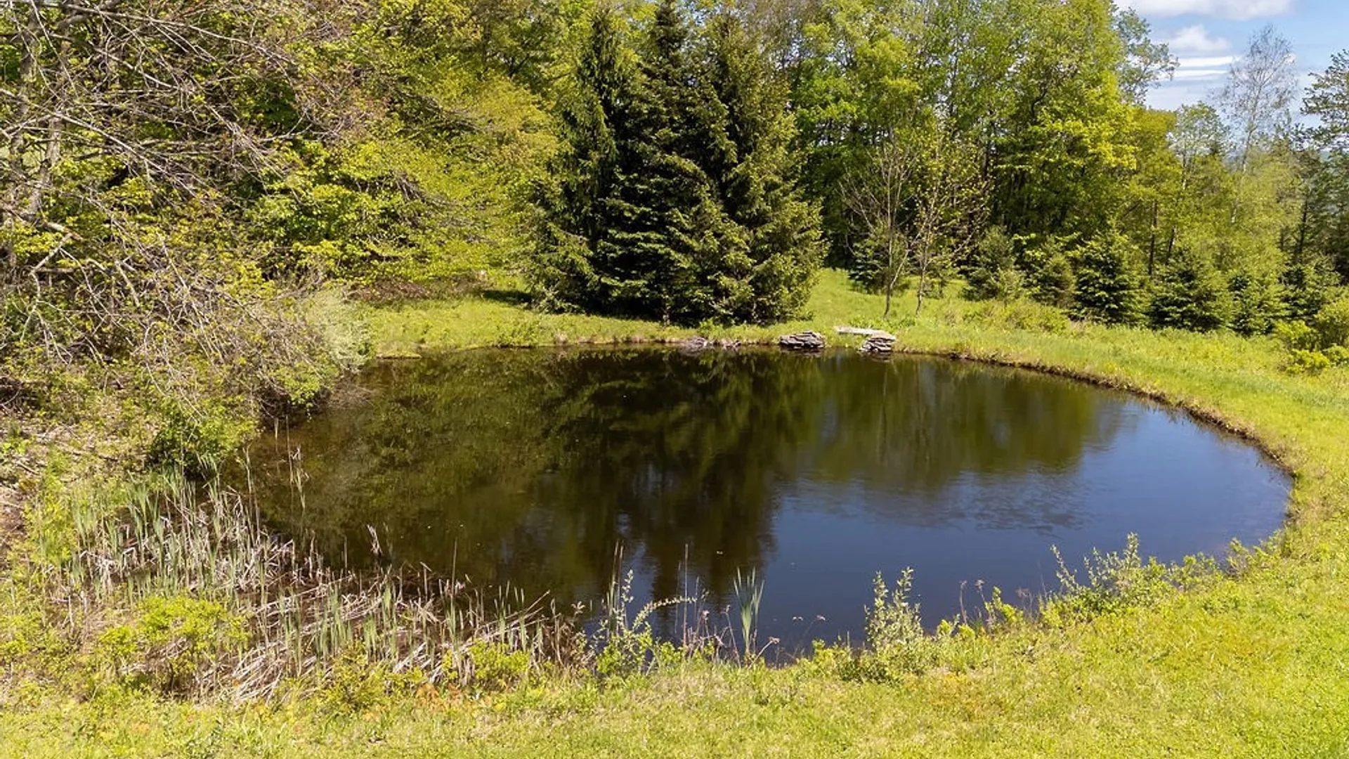 Property at 0 Undisclosed Address, Andes, NY 13731 15