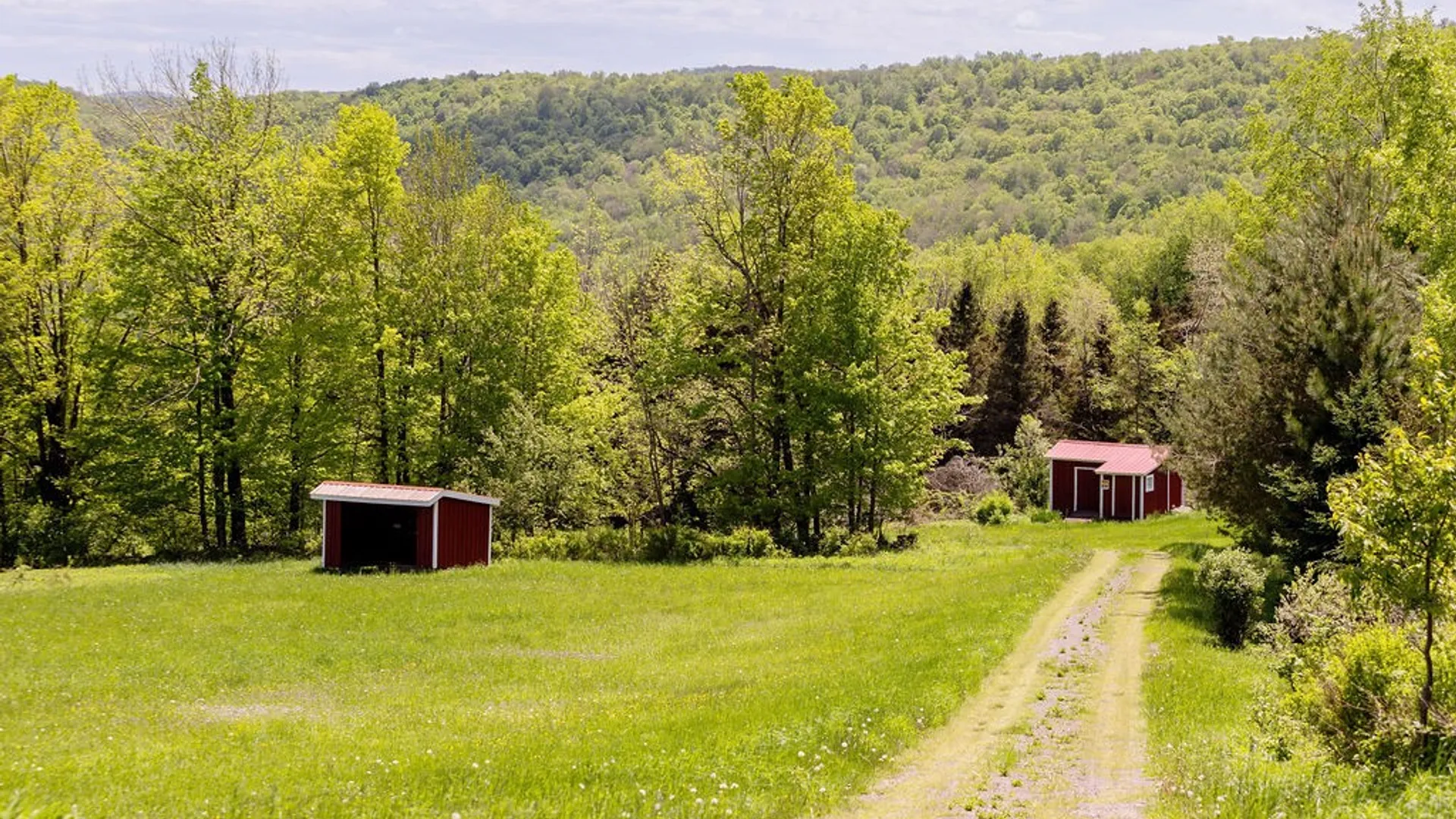 Property at 0 Undisclosed Address, Andes, NY 13731 8