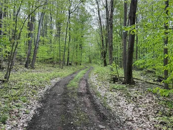 Property at Jordan Hill Road, Clarksville, NY 14715