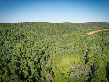Property at Williams Road, Candor, NY 13743