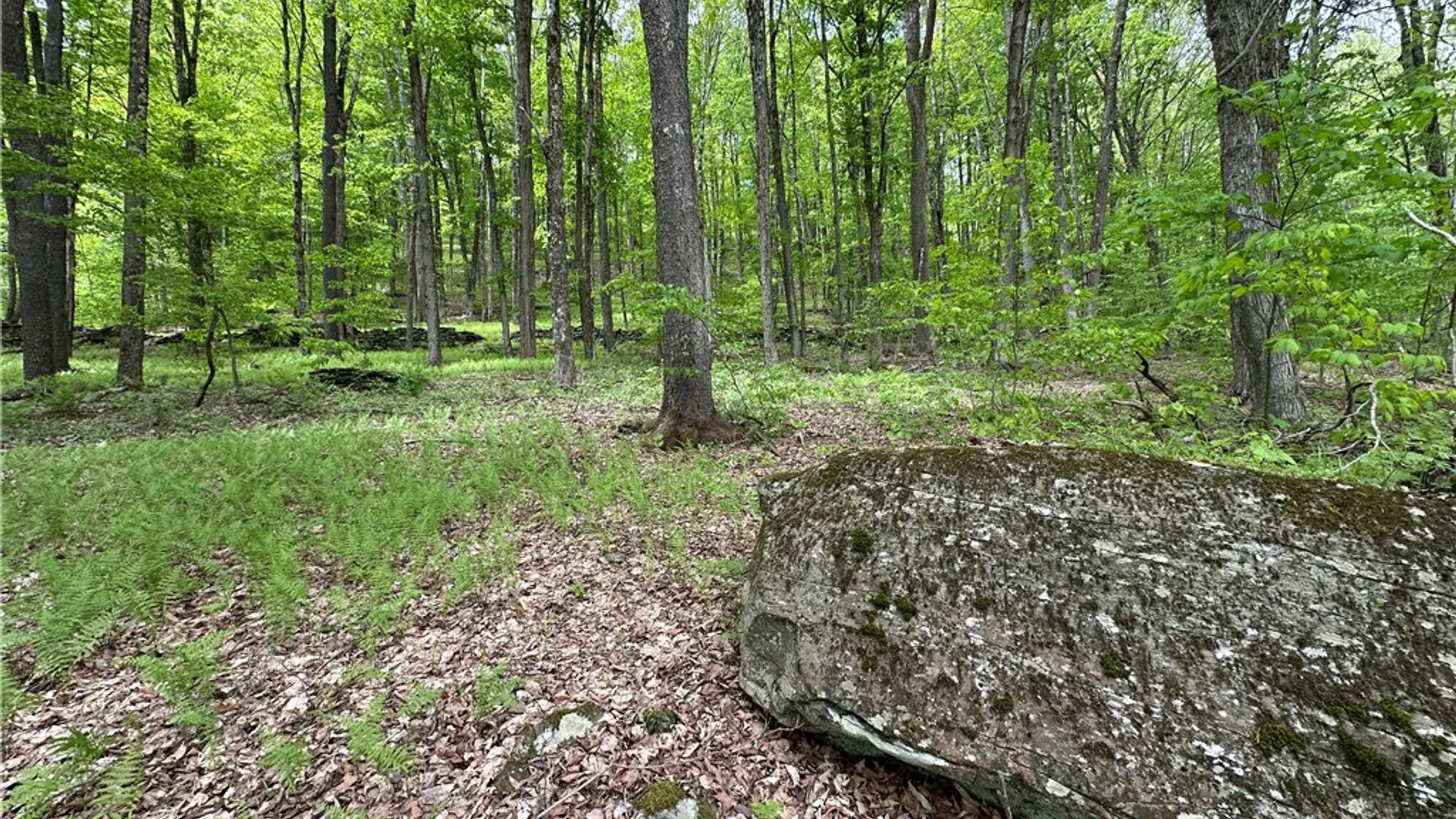 Property at Woodland Hills Road, Andes, NY 13731 11