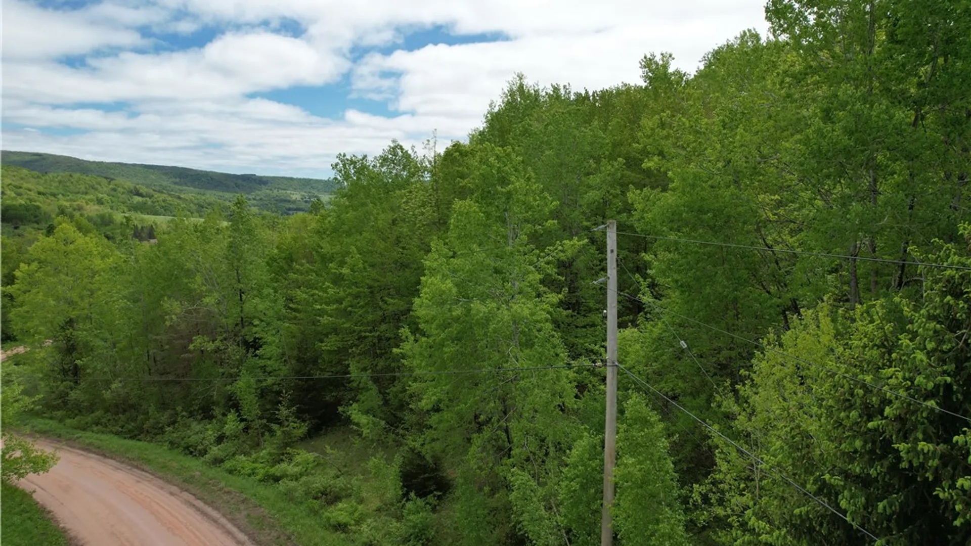 Property at Woodland Hills Road, Andes, NY 13731 14