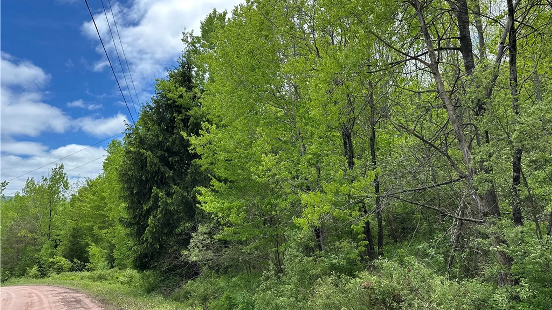 Property at Woodland Hills Road, Andes, NY 13731 15