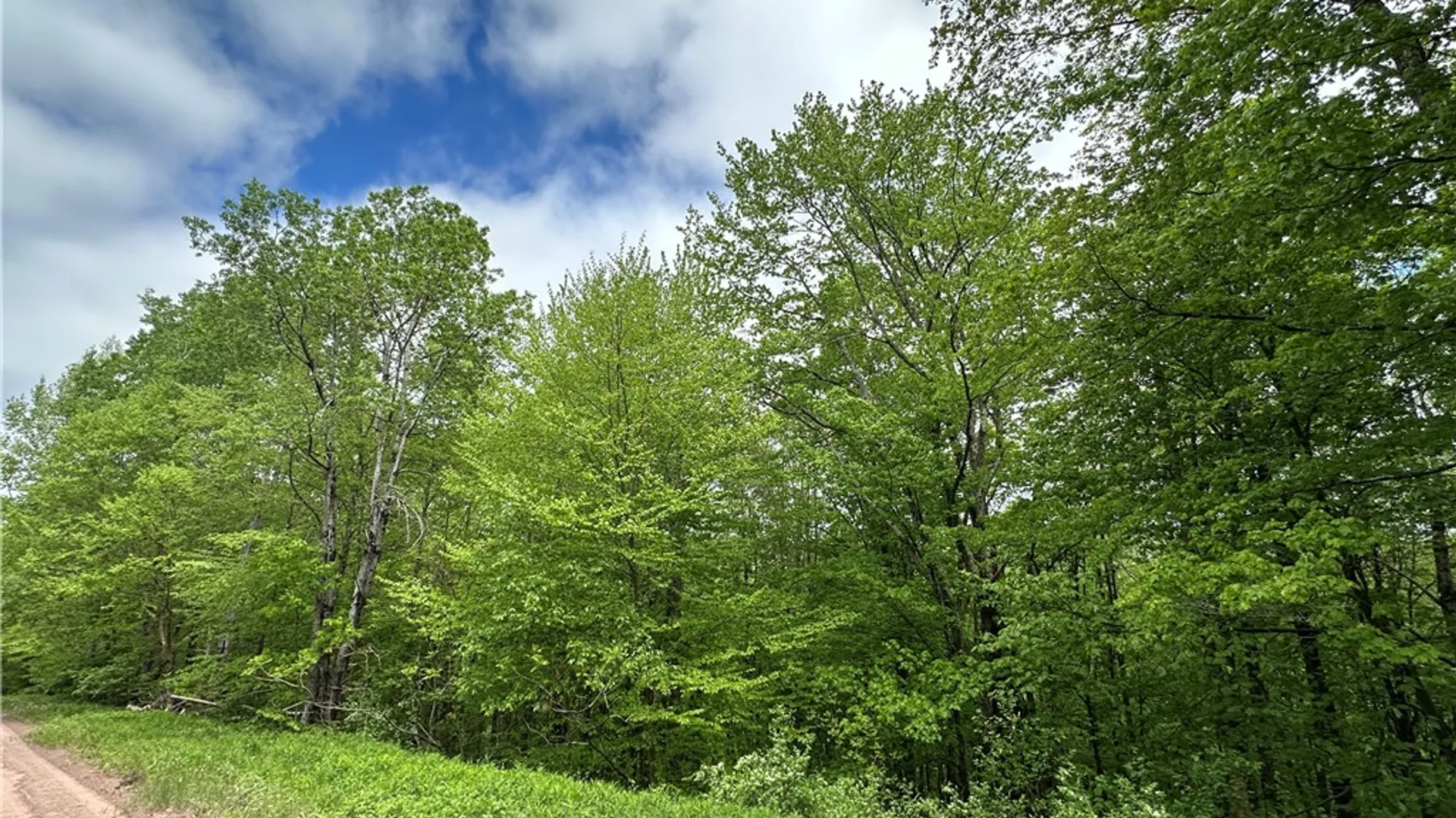 Property at Woodland Hills Road, Andes, NY 13731 2