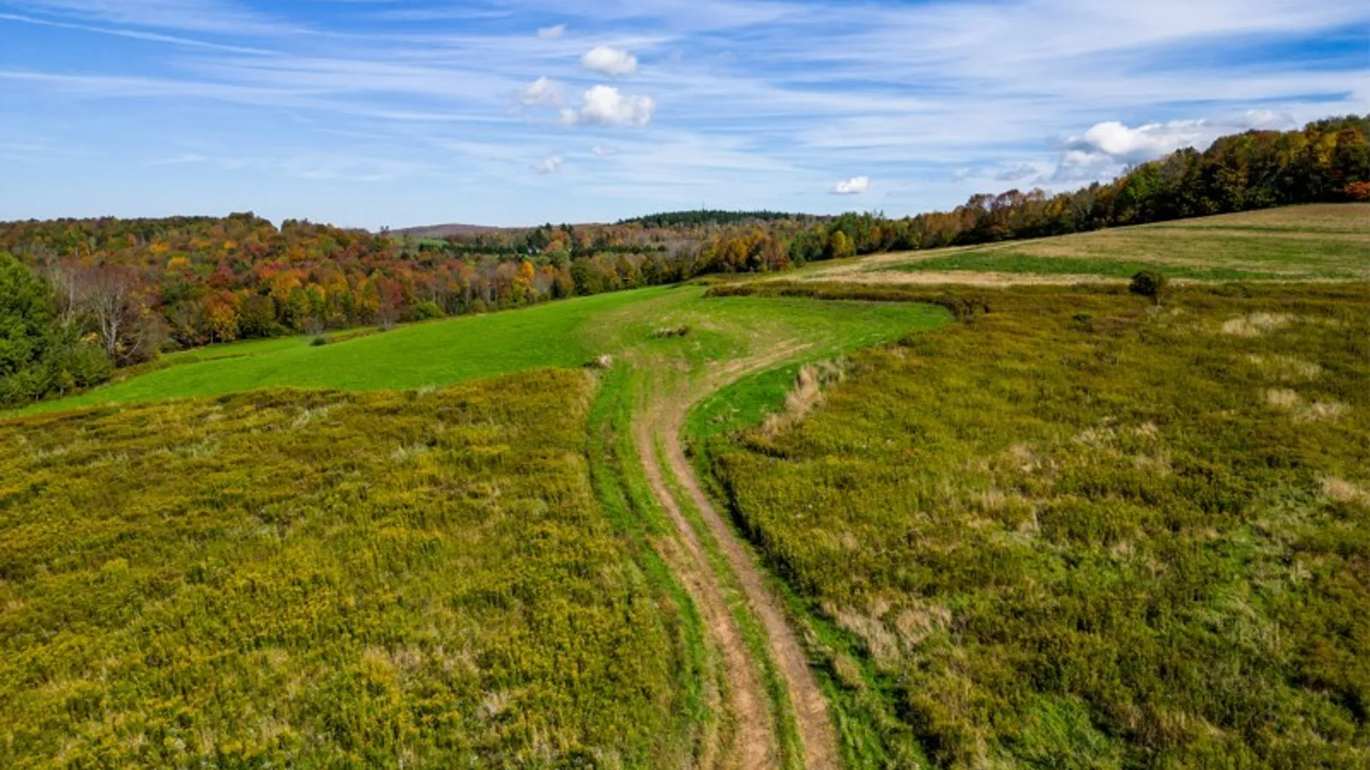 Property at 793 County Highway 19, Plainfield, NY 13491 8