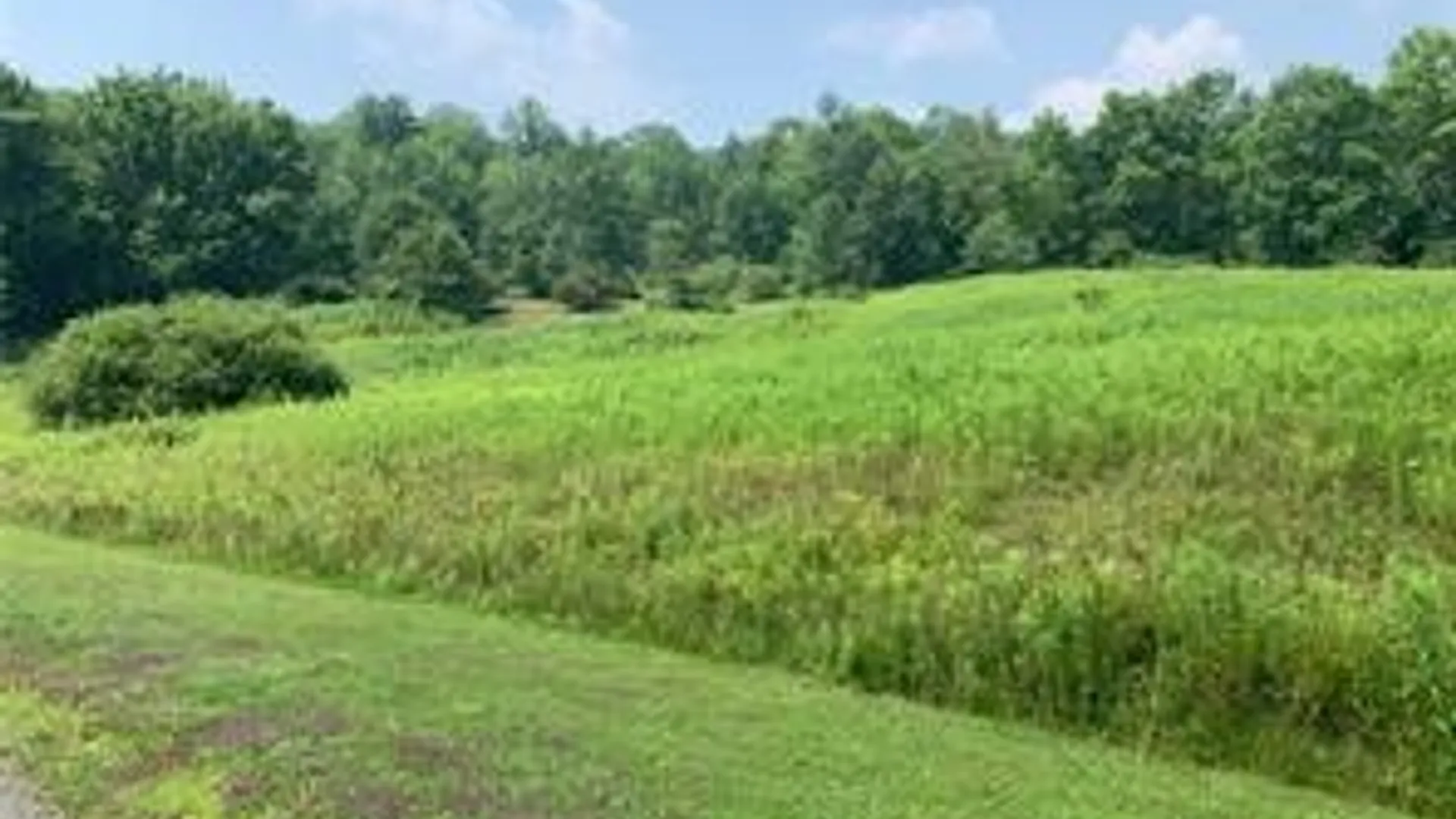 Property at Lot 11 Meadow Brook Drive, Middletown, NY 12455 10