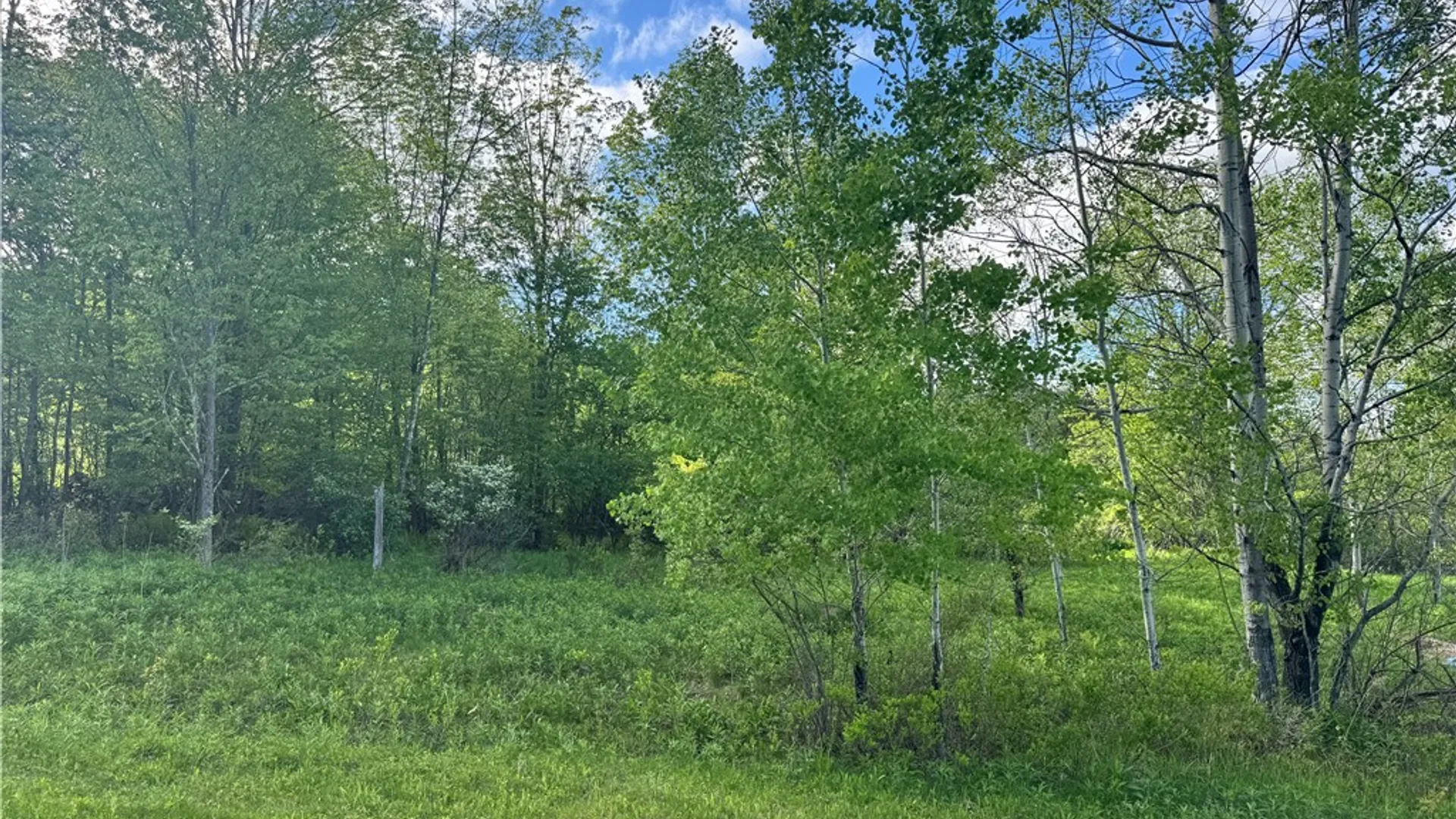 Property at Lot 11 Meadow Brook Drive, Middletown, NY 12455 12