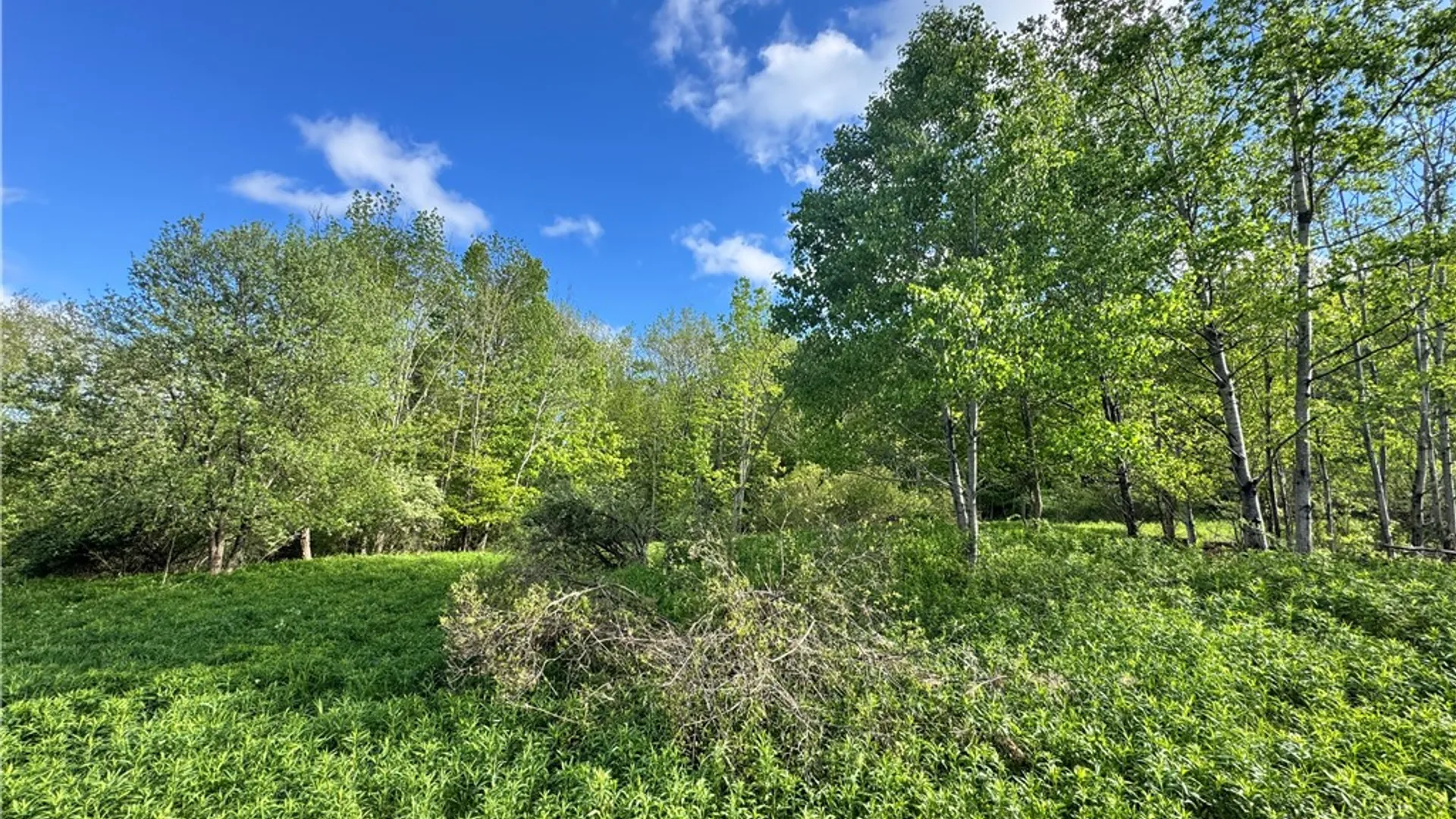 Property at Lot 11 Meadow Brook Drive, Middletown, NY 12455 13