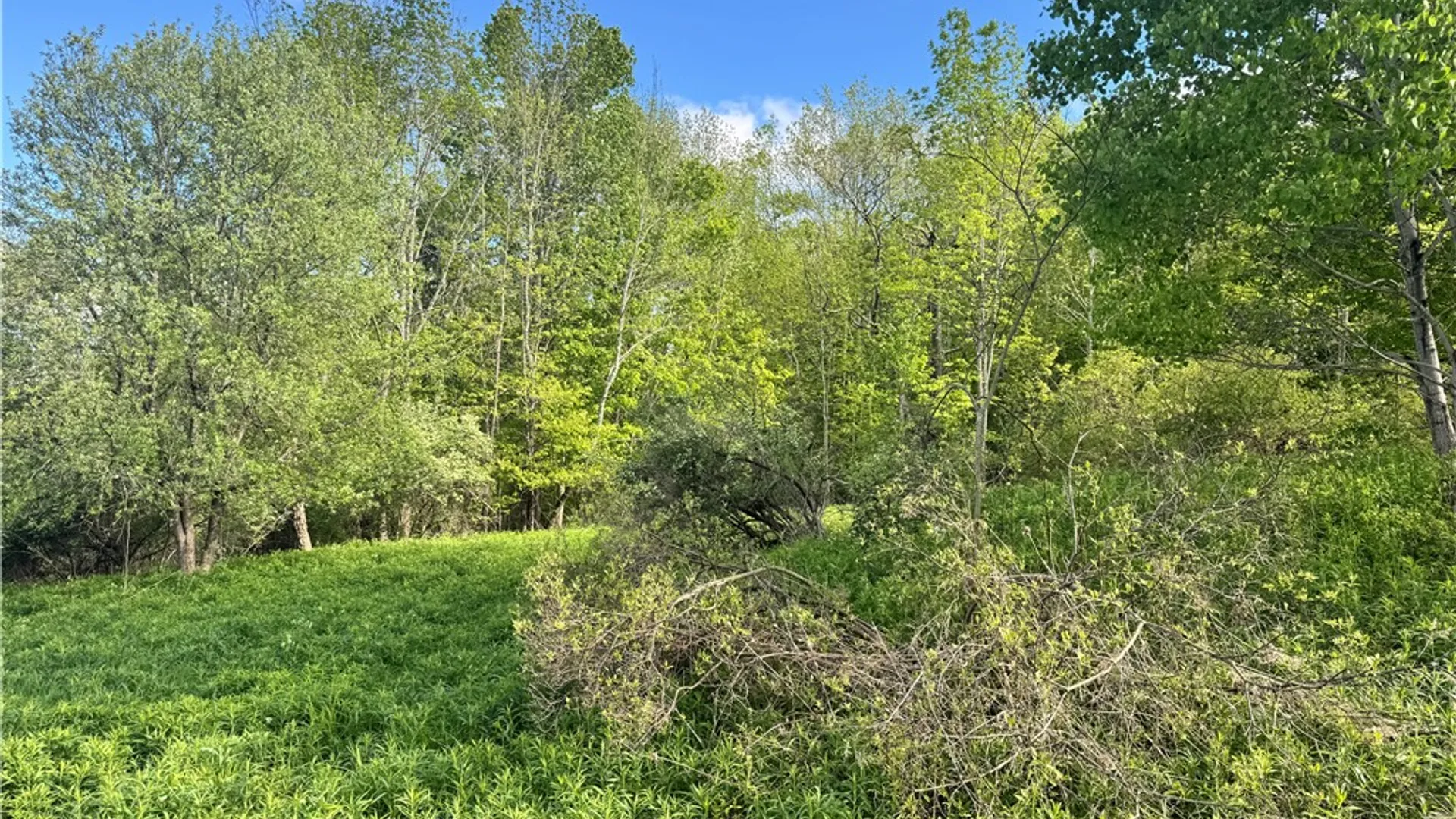 Property at Lot 11 Meadow Brook Drive, Middletown, NY 12455 14