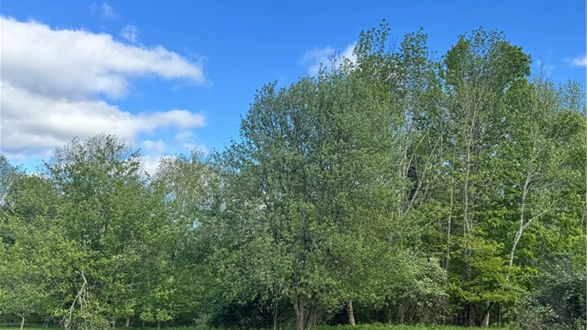 Property at Lot 11 Meadow Brook Drive, Middletown, NY 12455 15