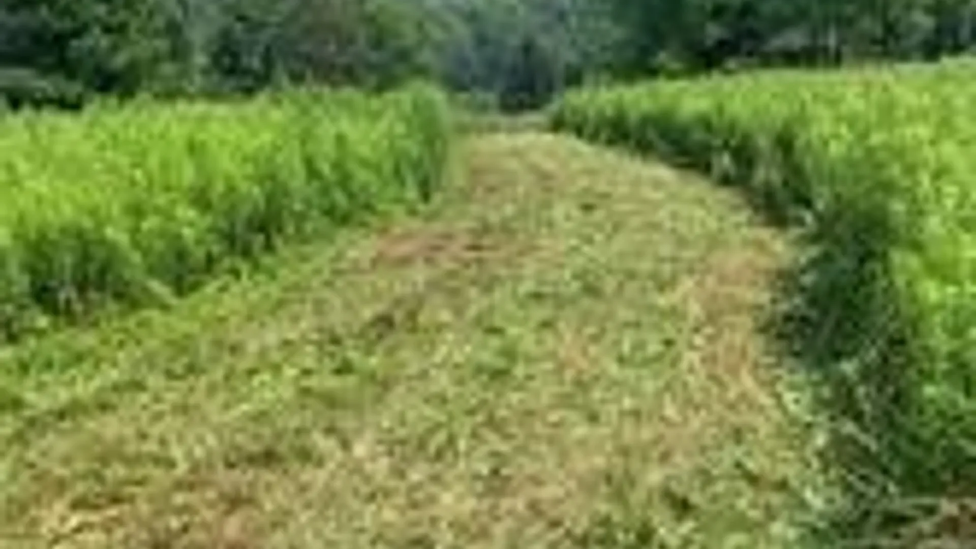 Property at Lot 11 Meadow Brook Drive, Middletown, NY 12455 9