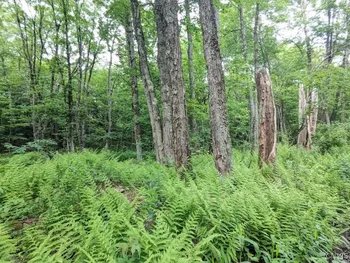 Property at 5 Rose Bud, Florence, NY 13316