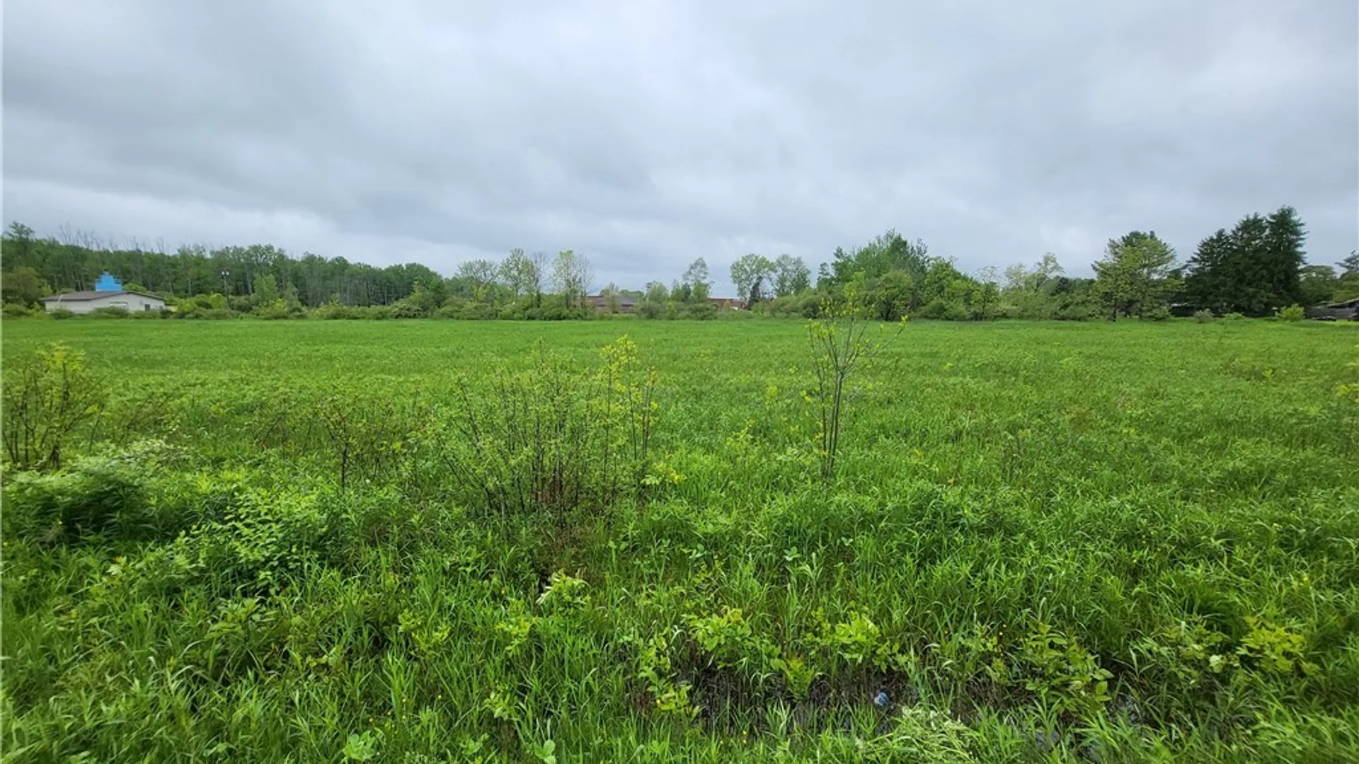 Property at Dredge Road, Dayton, NY 14138 6