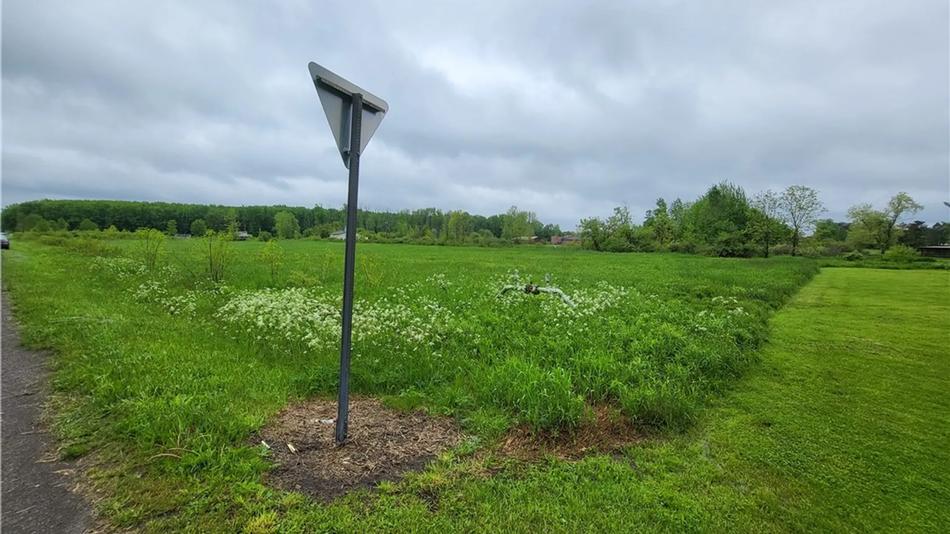 Property at Dredge Road, Dayton, NY 14138 9