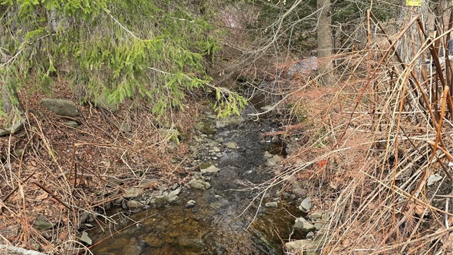 Property at 105 County Road 47, Pharsalia, NY 13815 3