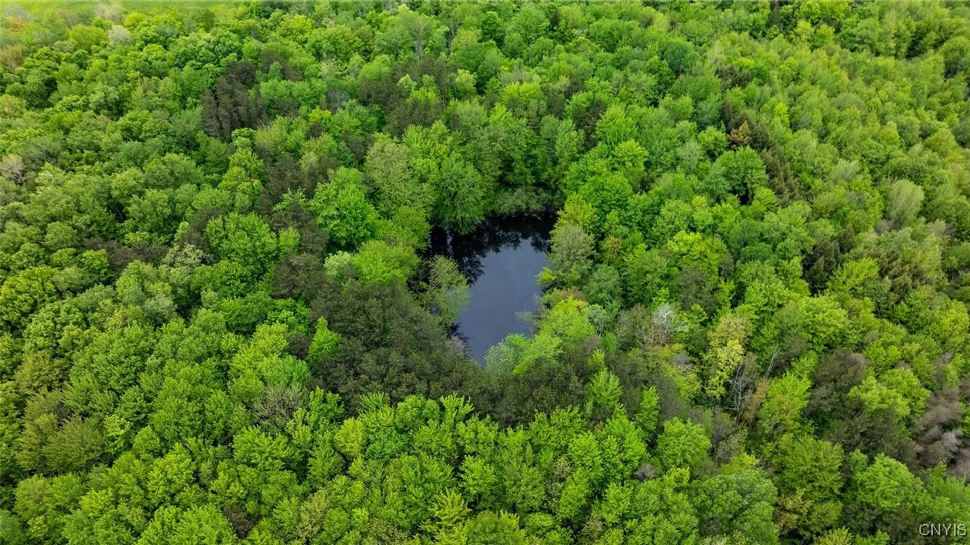 Property at 4363 US Route 11, Richland, NY 13142 14