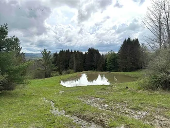 Property at 5024 Sleepy Hollow Road, Friendship, NY 14739
