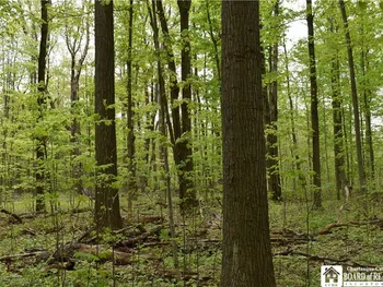 Property at 0 Miller Road, Mina, NY 14736