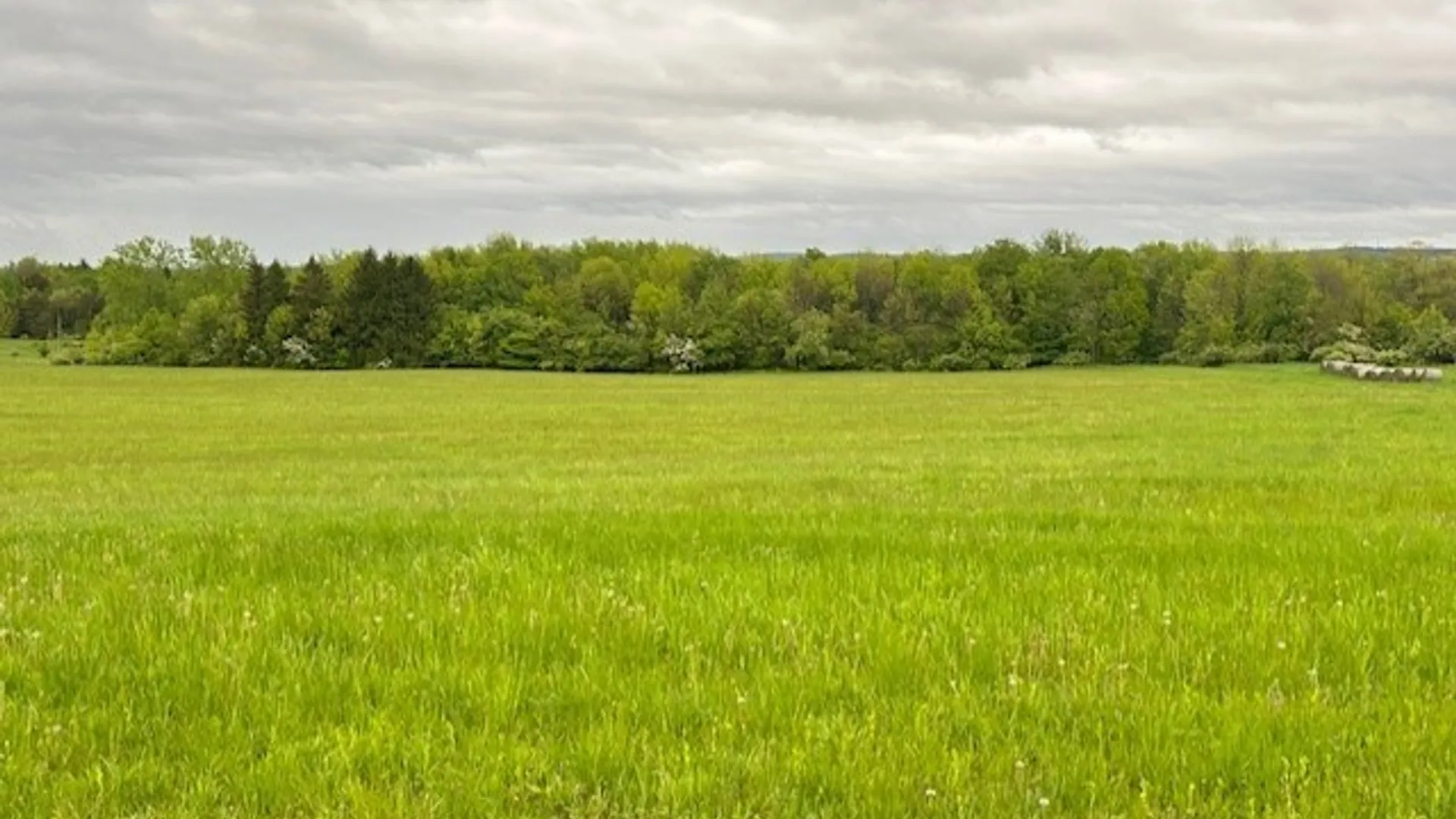 Property at 985 Sierk Road, Bennington, NY 14011 12