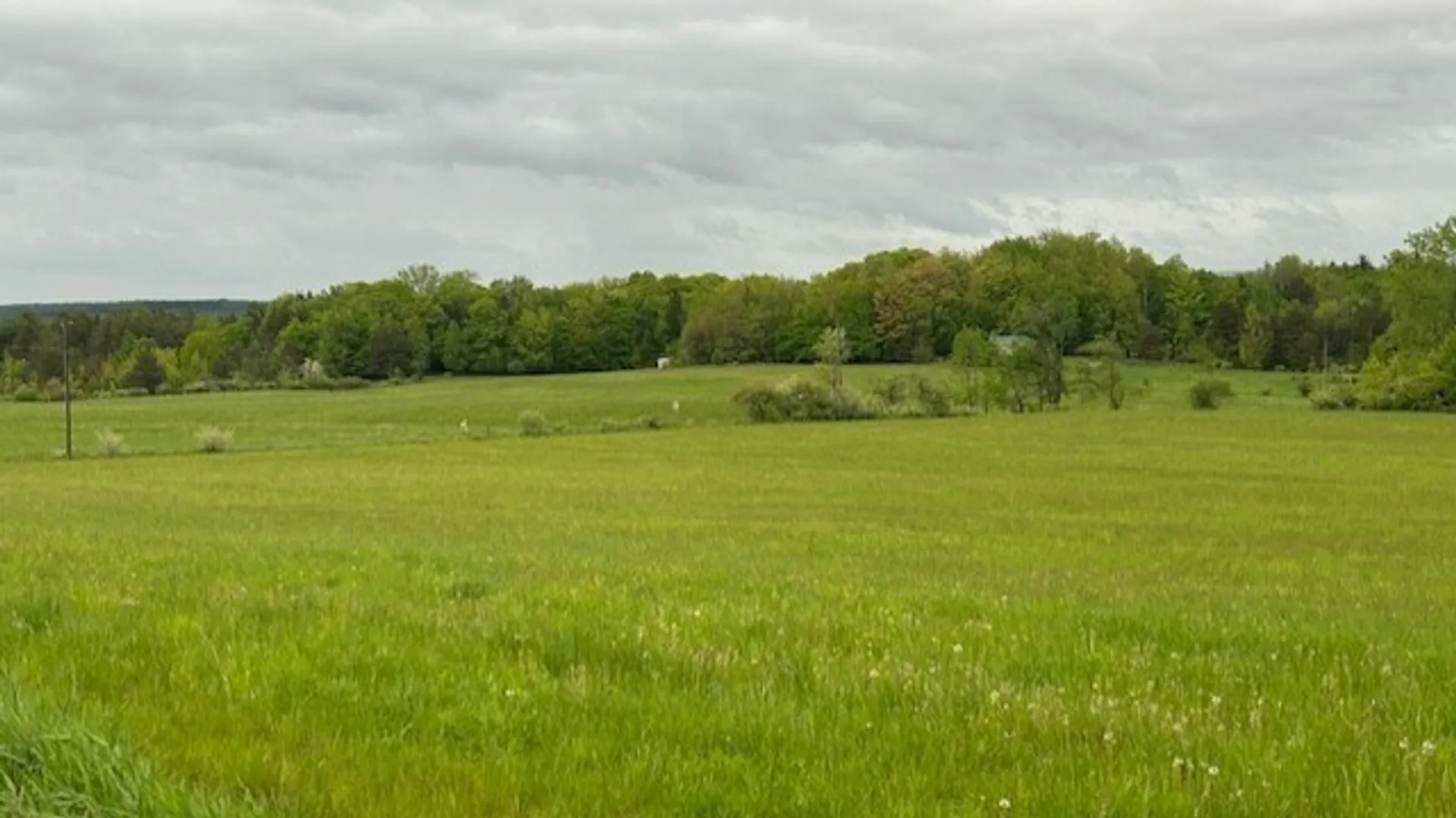 Property at 985 Sierk Road, Bennington, NY 14011 13