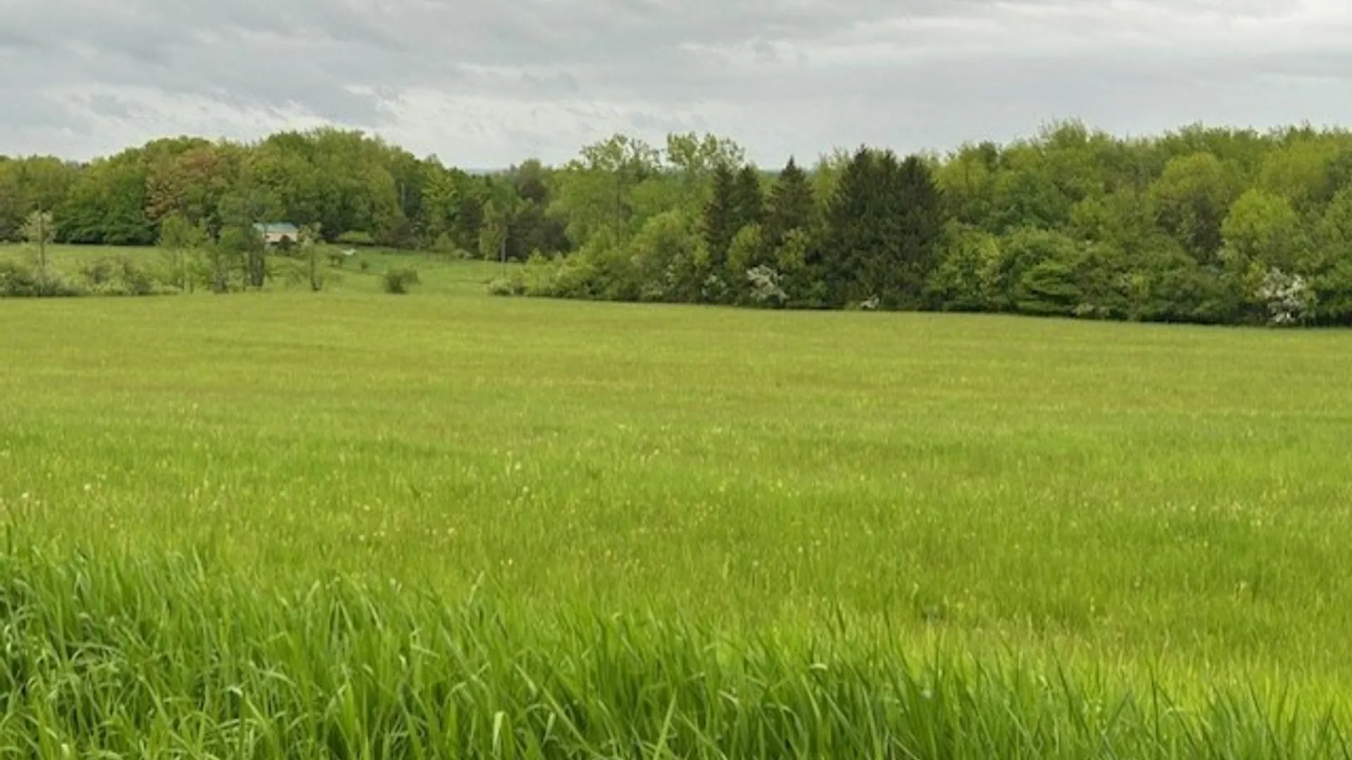 Property at 985 Sierk Road, Bennington, NY 14011 14