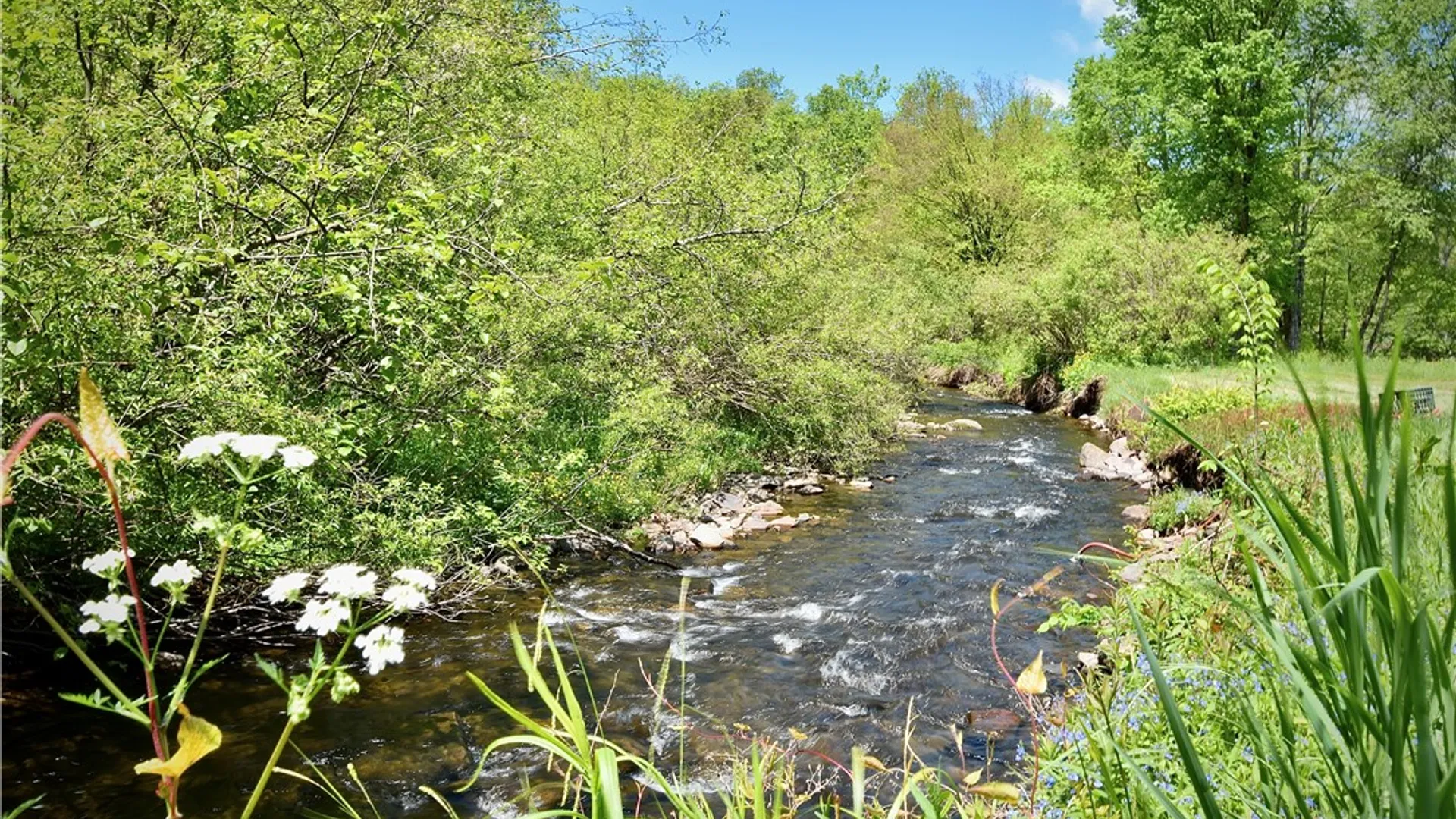 Property at 7 Bonnie Brook Road, Hancock, NY 12776 4