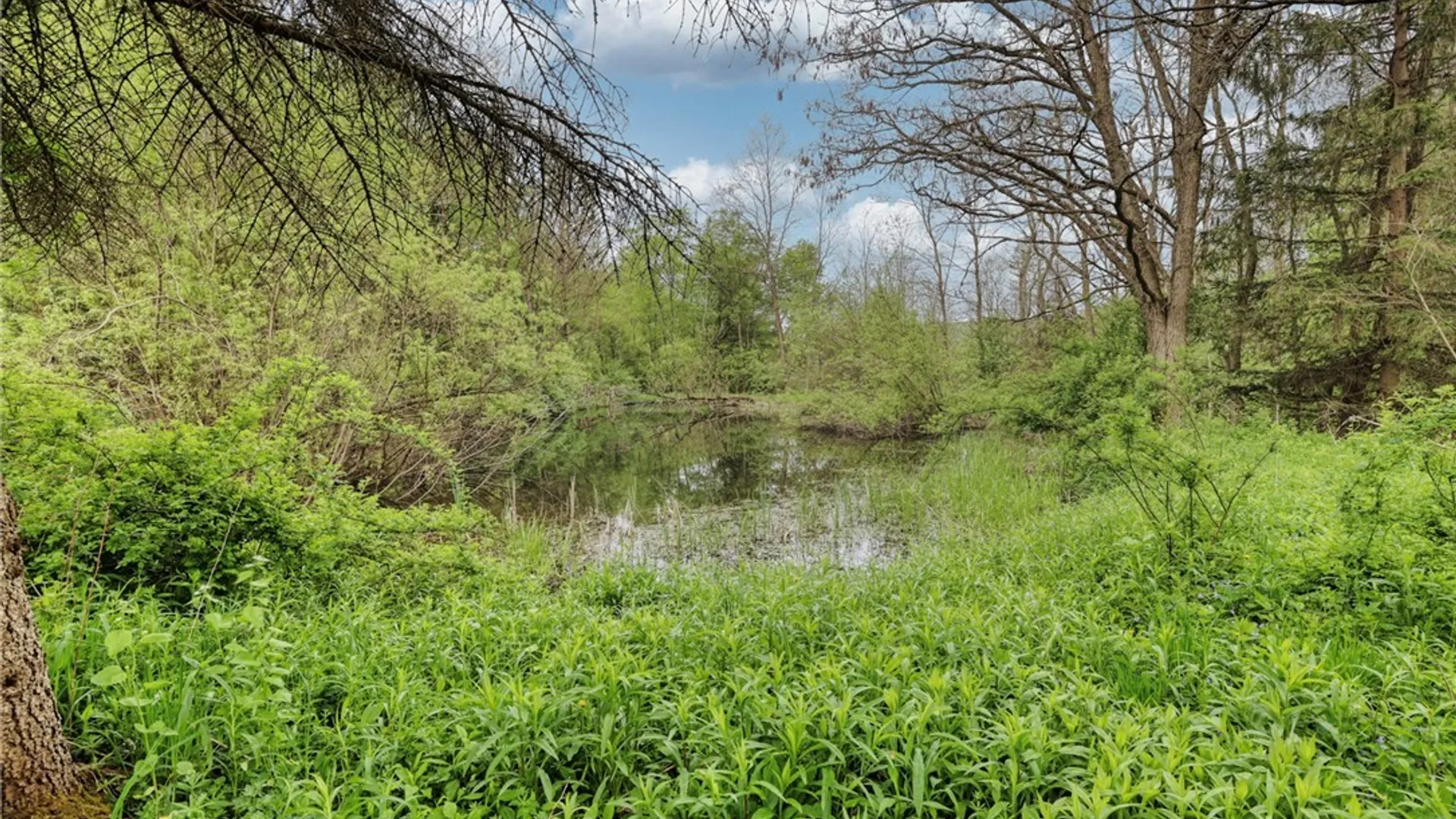 Property at 5556 Bryant Hill Road, Ellicottville, NY 14731 44