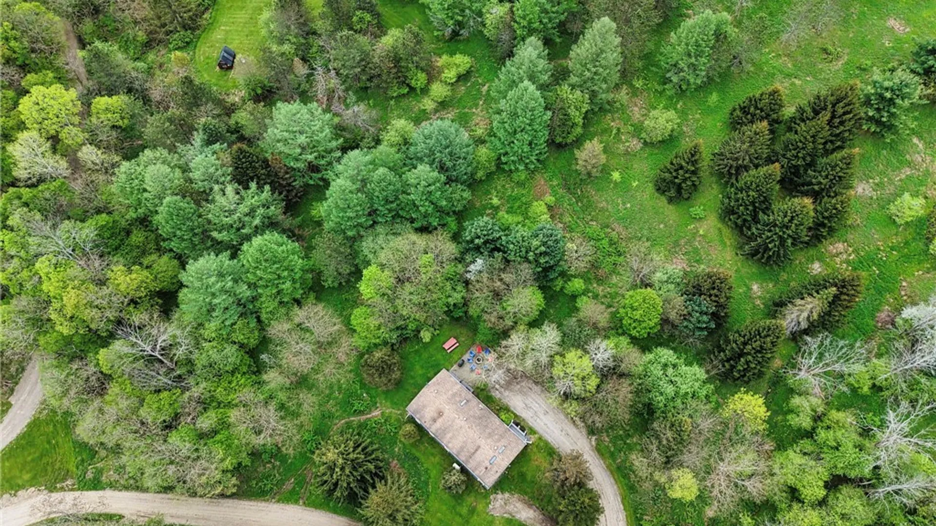 Property at 5556 Bryant Hill Road, Ellicottville, NY 14731 5