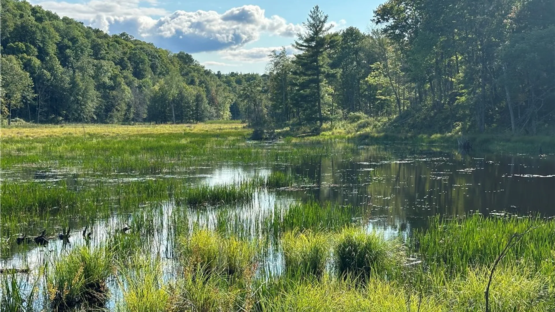 Property at Graham Road, Pitcairn, NY 13648 10