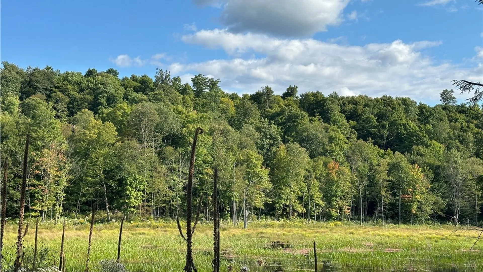 Property at Graham Road, Pitcairn, NY 13648 2