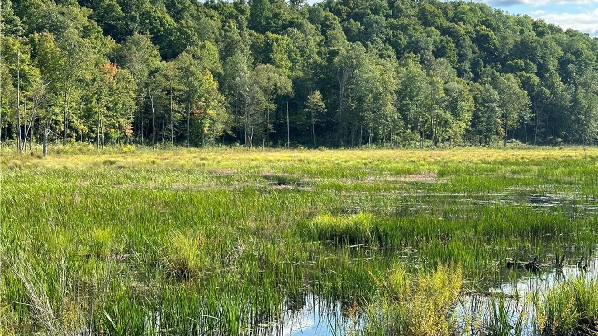 Property at Graham Road, Pitcairn, NY 13648 3