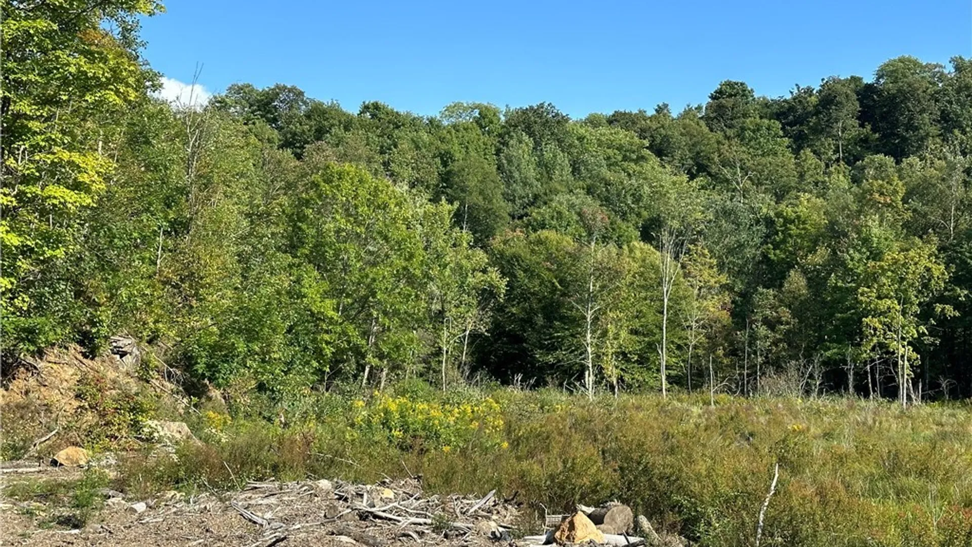 Property at Graham Road, Pitcairn, NY 13648 4