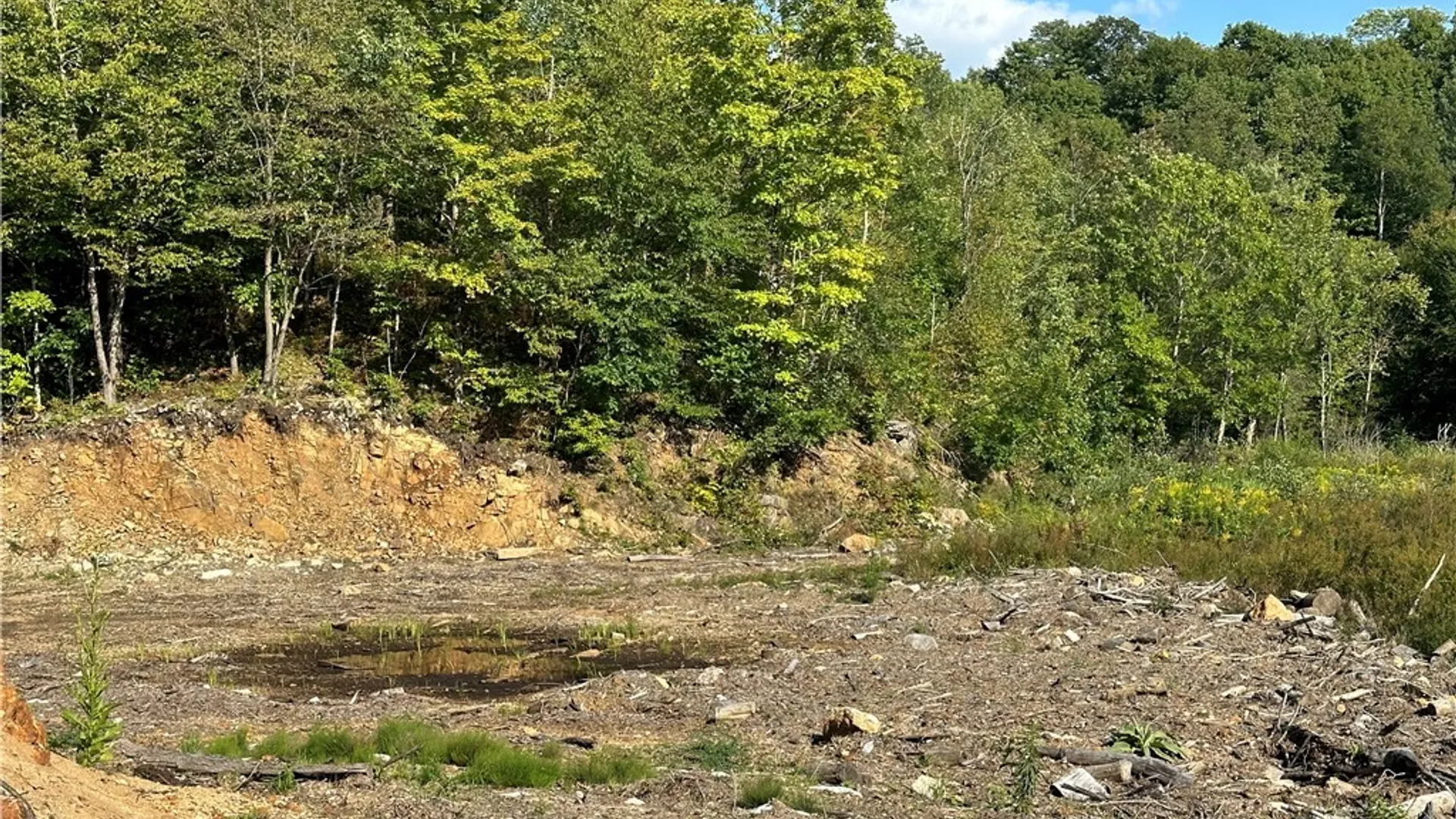 Property at Graham Road, Pitcairn, NY 13648 5