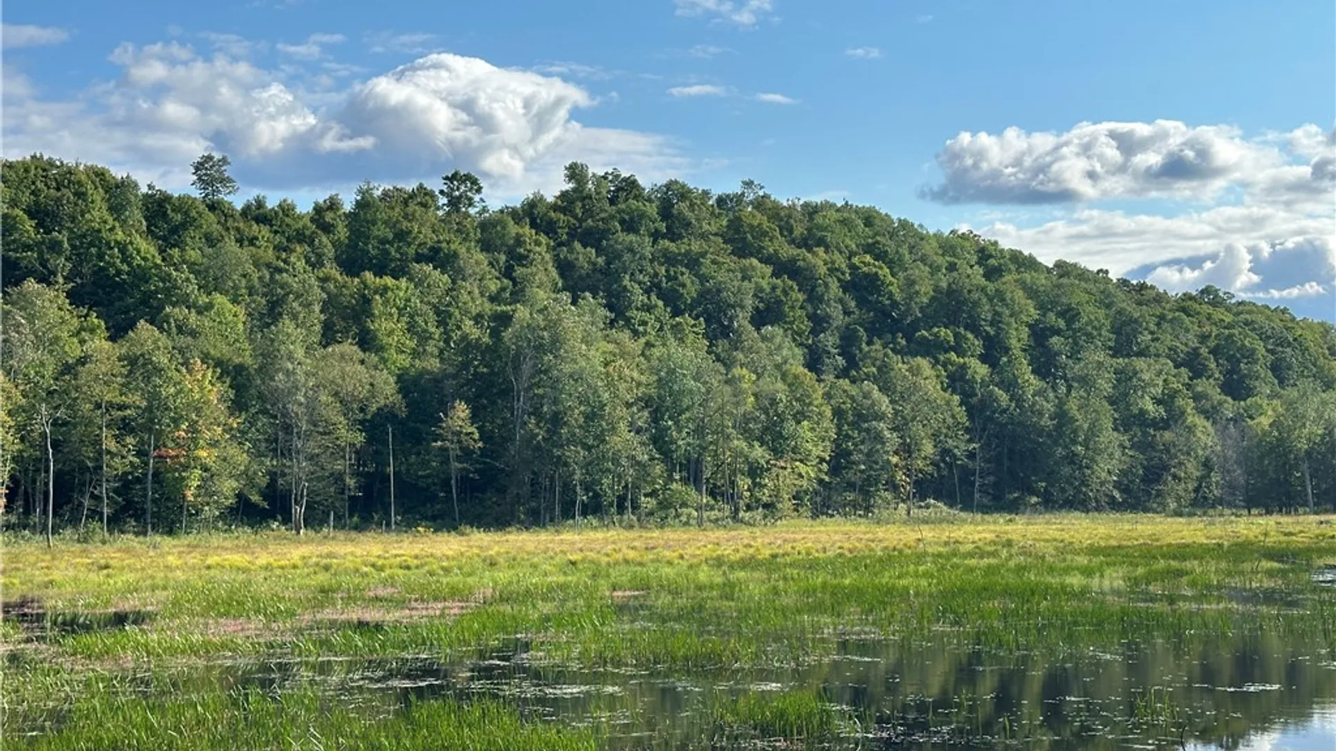 Property at Graham Road, Pitcairn, NY 13648 9