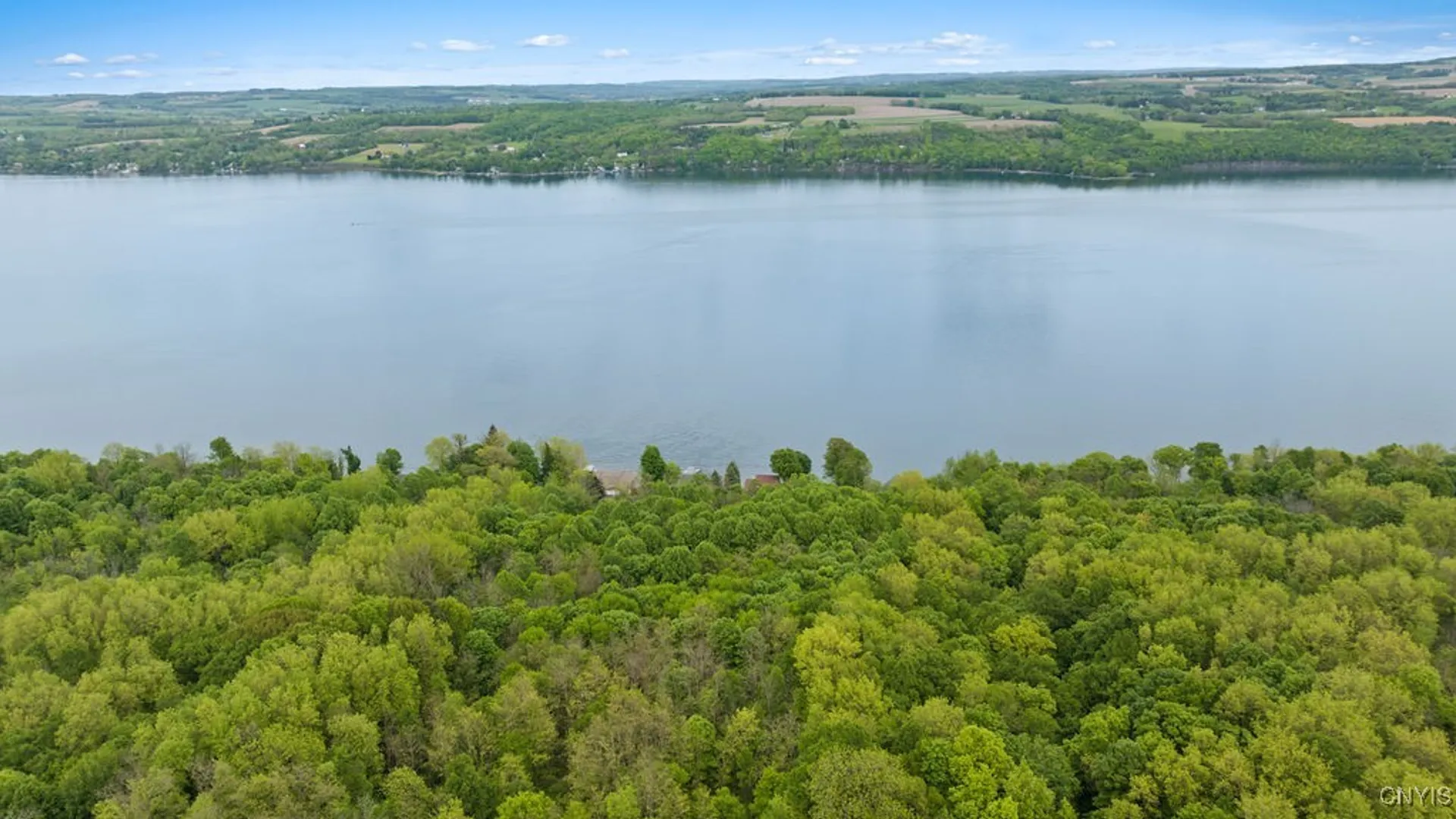 Property at 0 State Route 38, Scipio, NY 13147 12