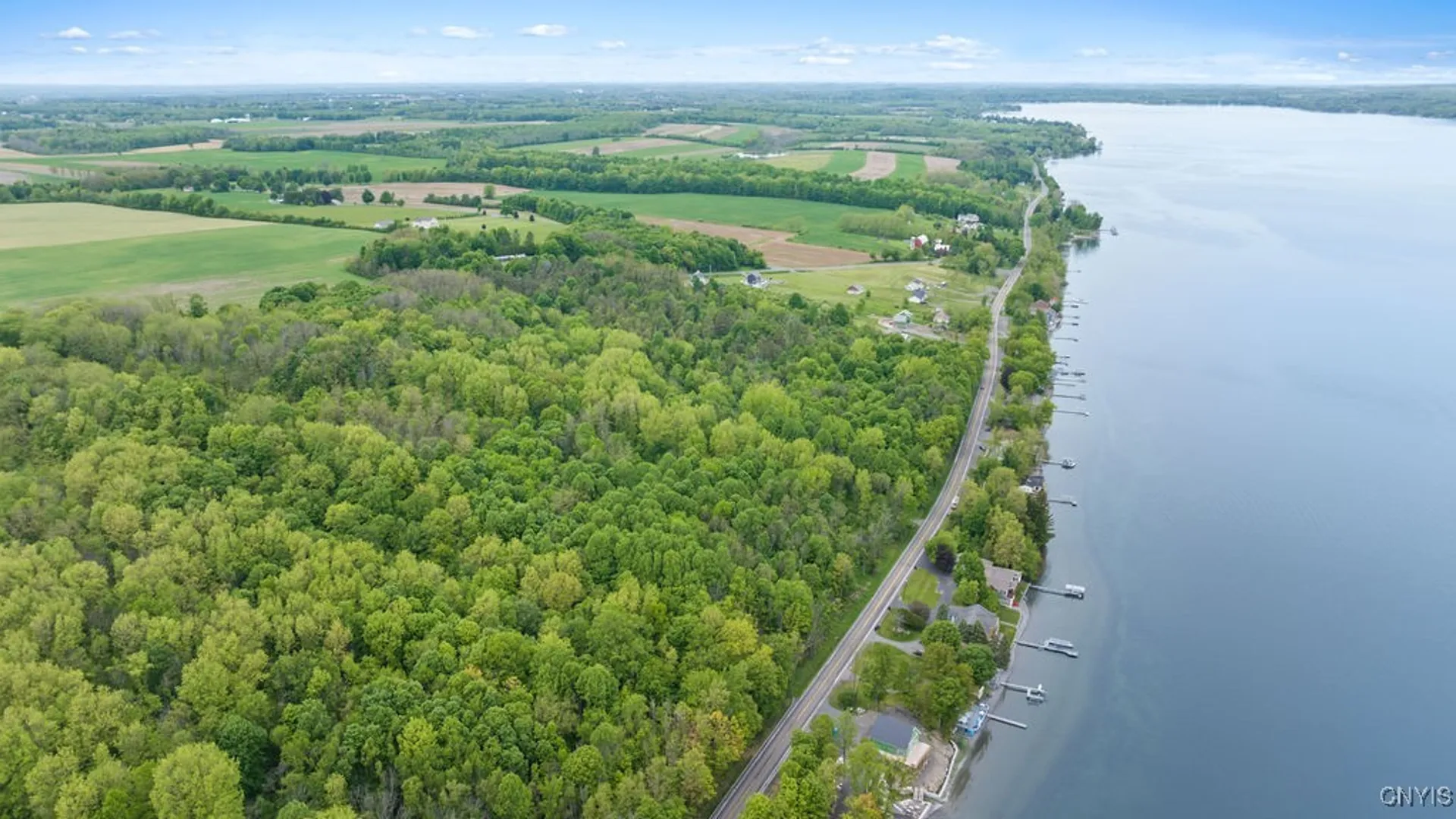 Property at 0 State Route 38, Scipio, NY 13147 16