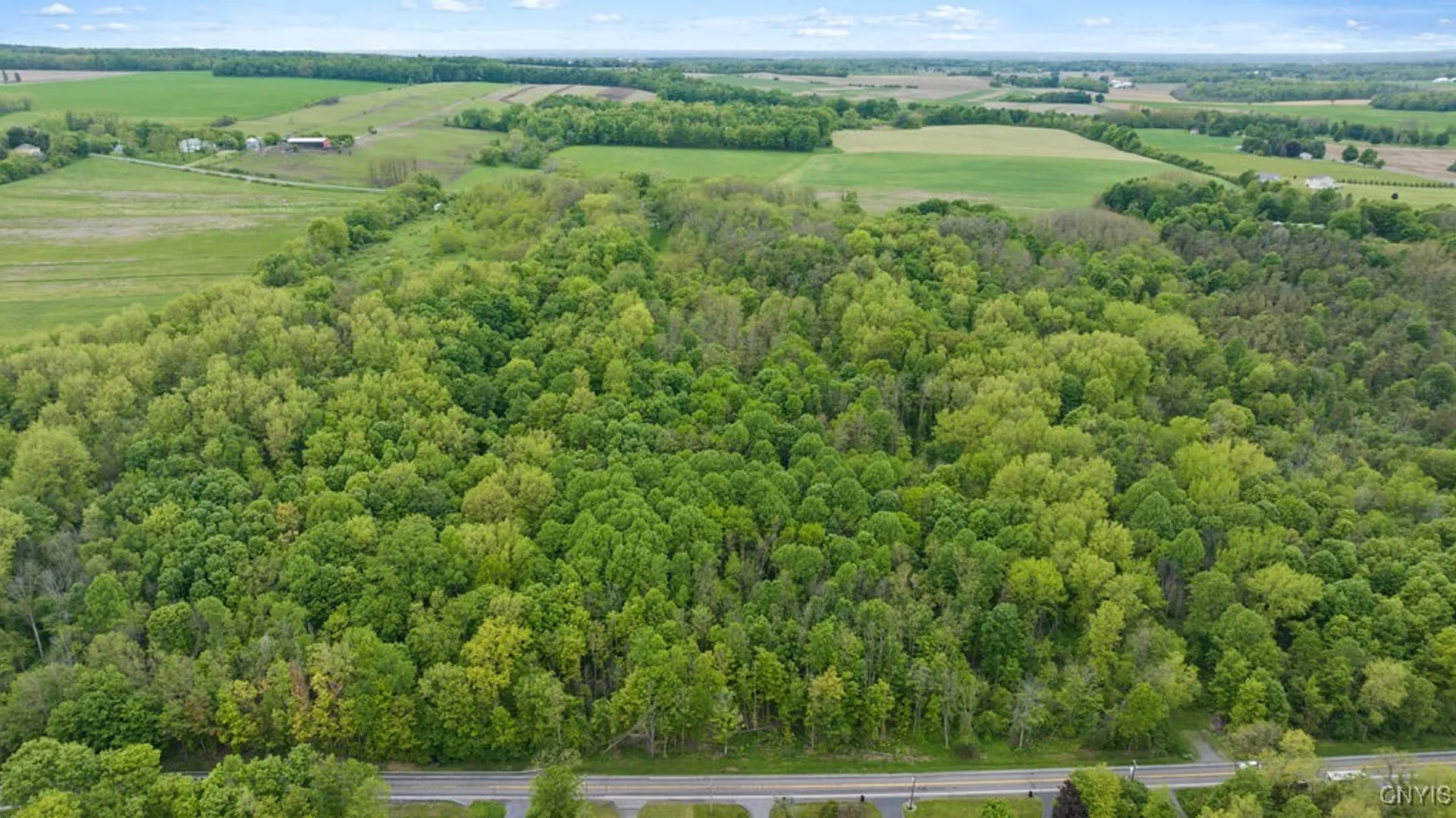 Property at 0 State Route 38, Scipio, NY 13147 4