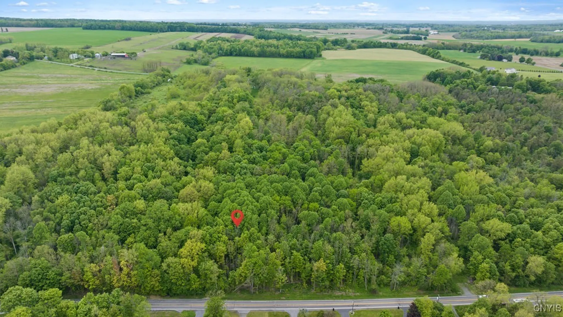 Property at 0 State Route 38, Scipio, NY 13147 5