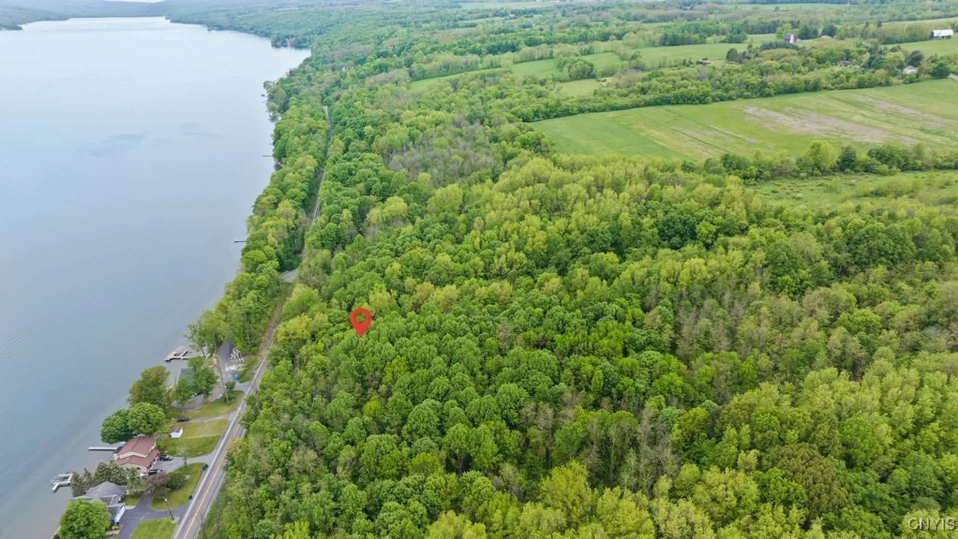 Property at 0 State Route 38, Scipio, NY 13147 7