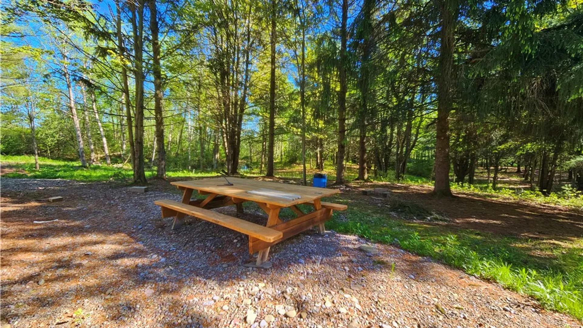 Property at 9593 Bull Hill Road, Wheeler, NY 14809 10