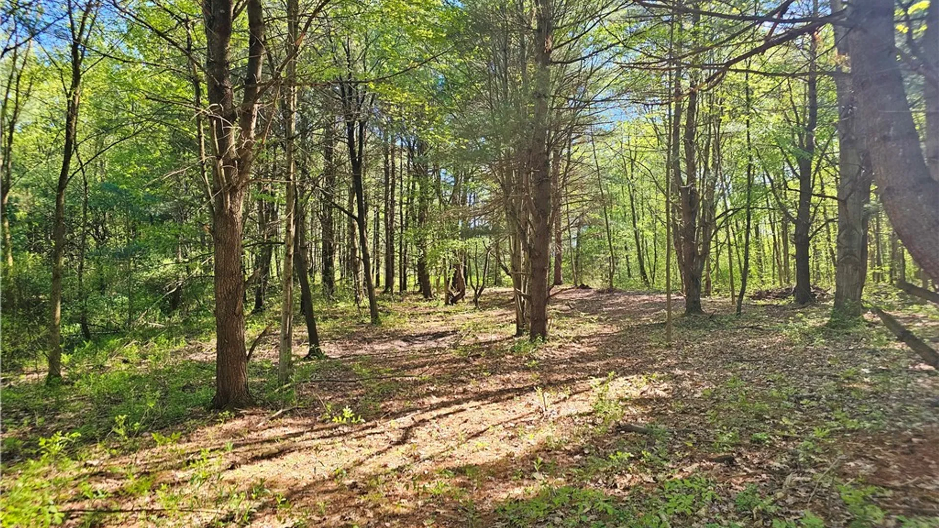 Property at 9593 Bull Hill Road, Wheeler, NY 14809 12