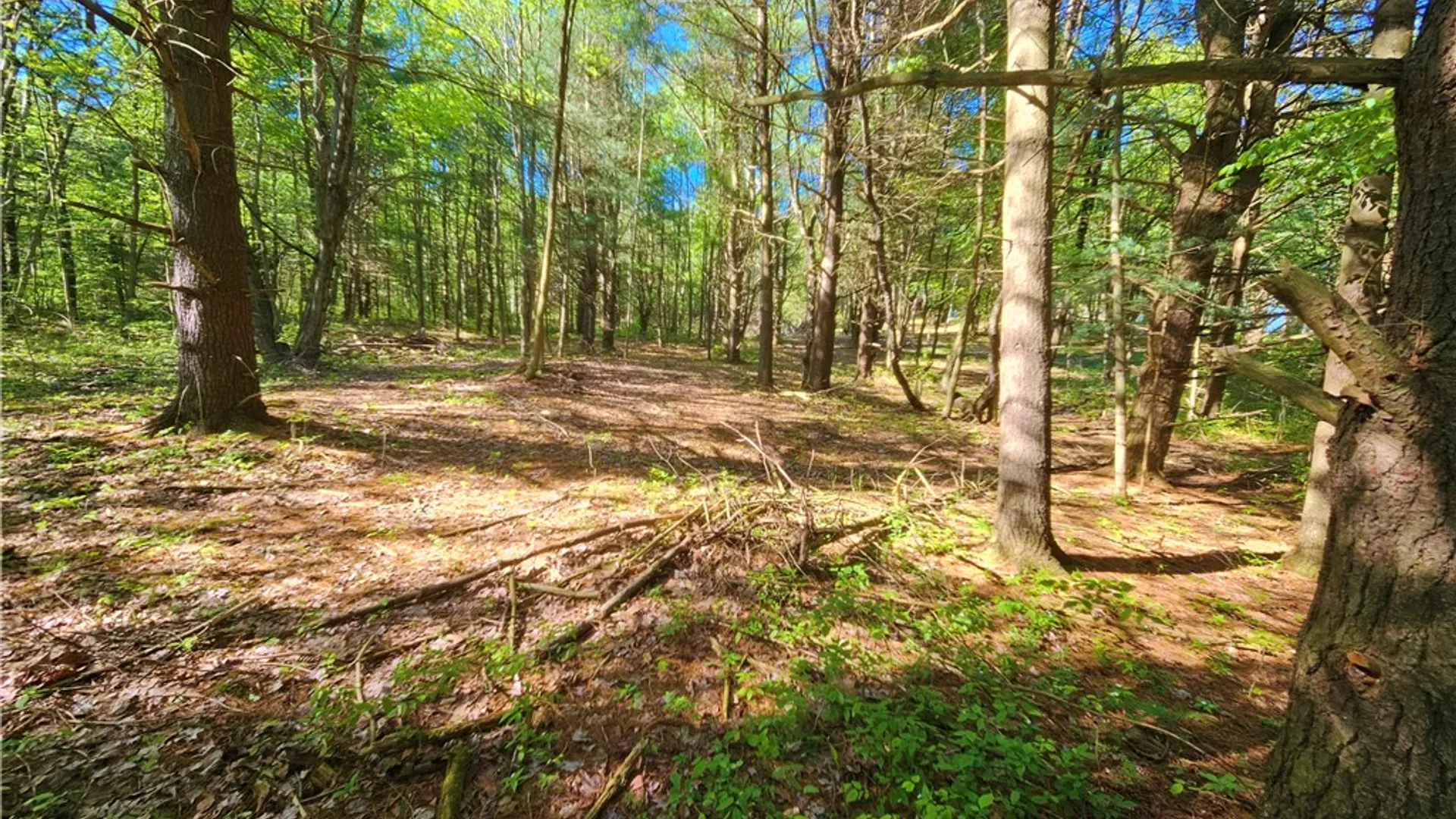 Property at 9593 Bull Hill Road, Wheeler, NY 14809 13