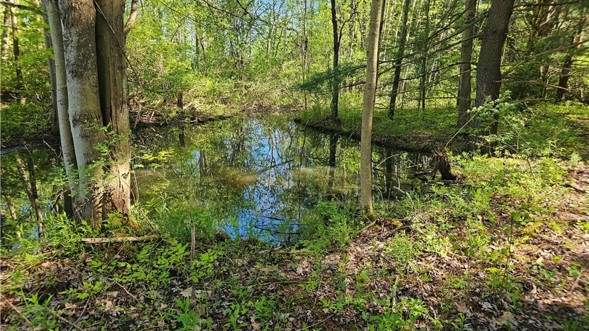 Property at 9593 Bull Hill Road, Wheeler, NY 14809 14