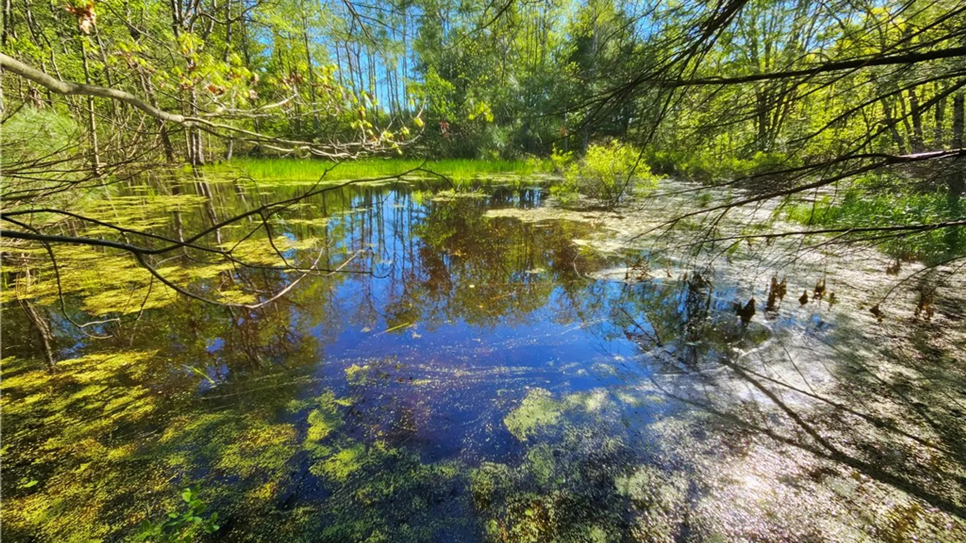 Property at 9593 Bull Hill Road, Wheeler, NY 14809 15