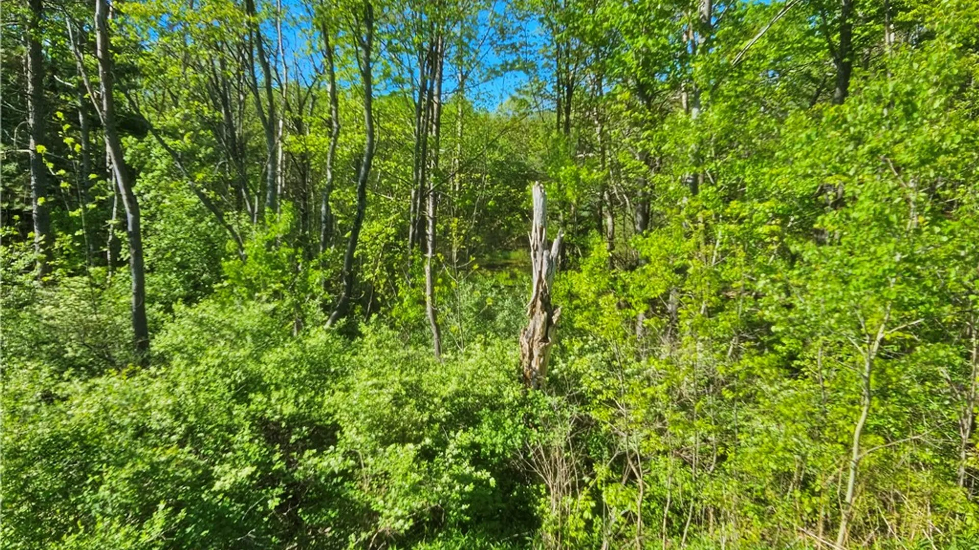 Property at 9593 Bull Hill Road, Wheeler, NY 14809 18