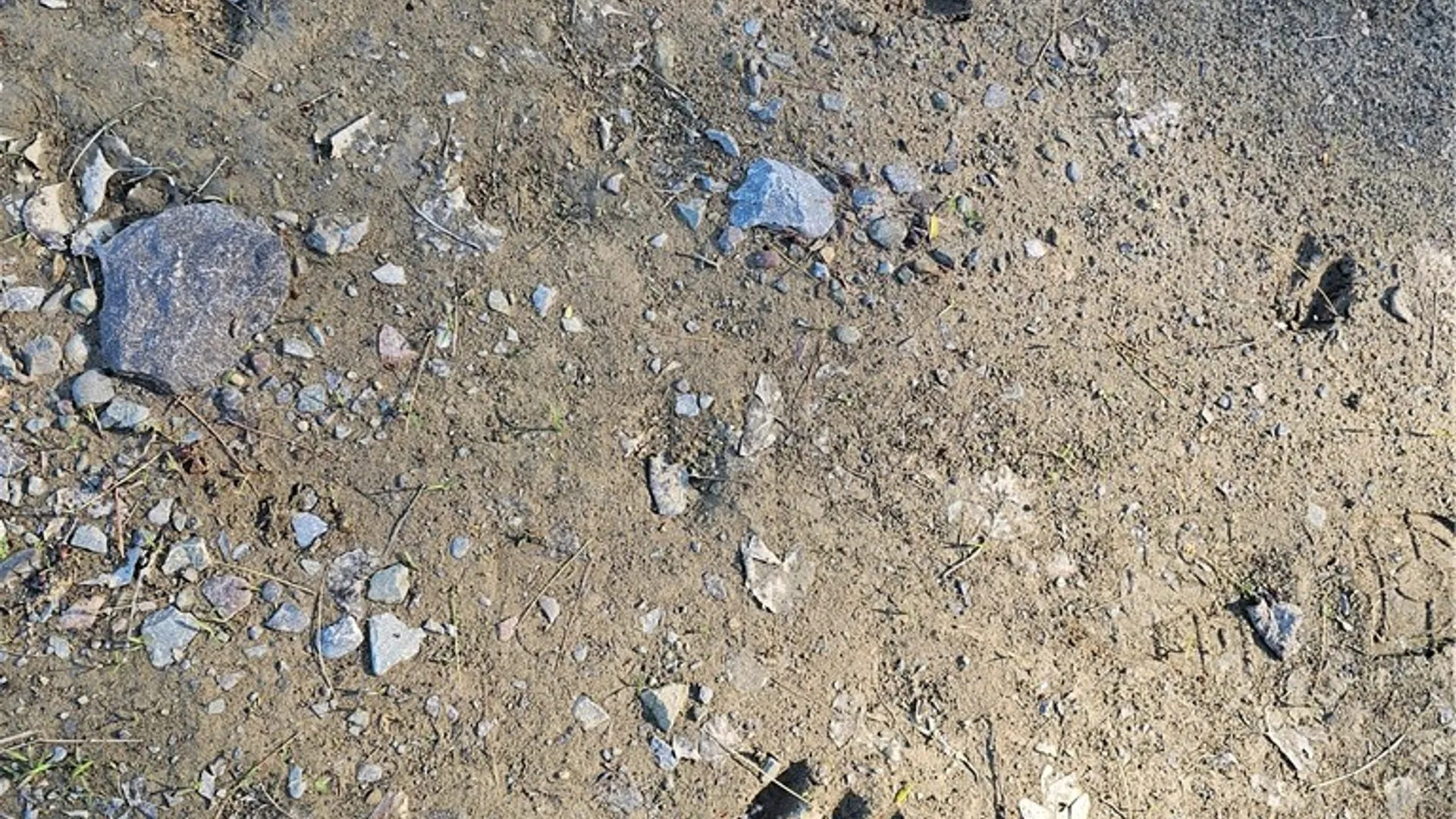 Property at 9593 Bull Hill Road, Wheeler, NY 14809 40